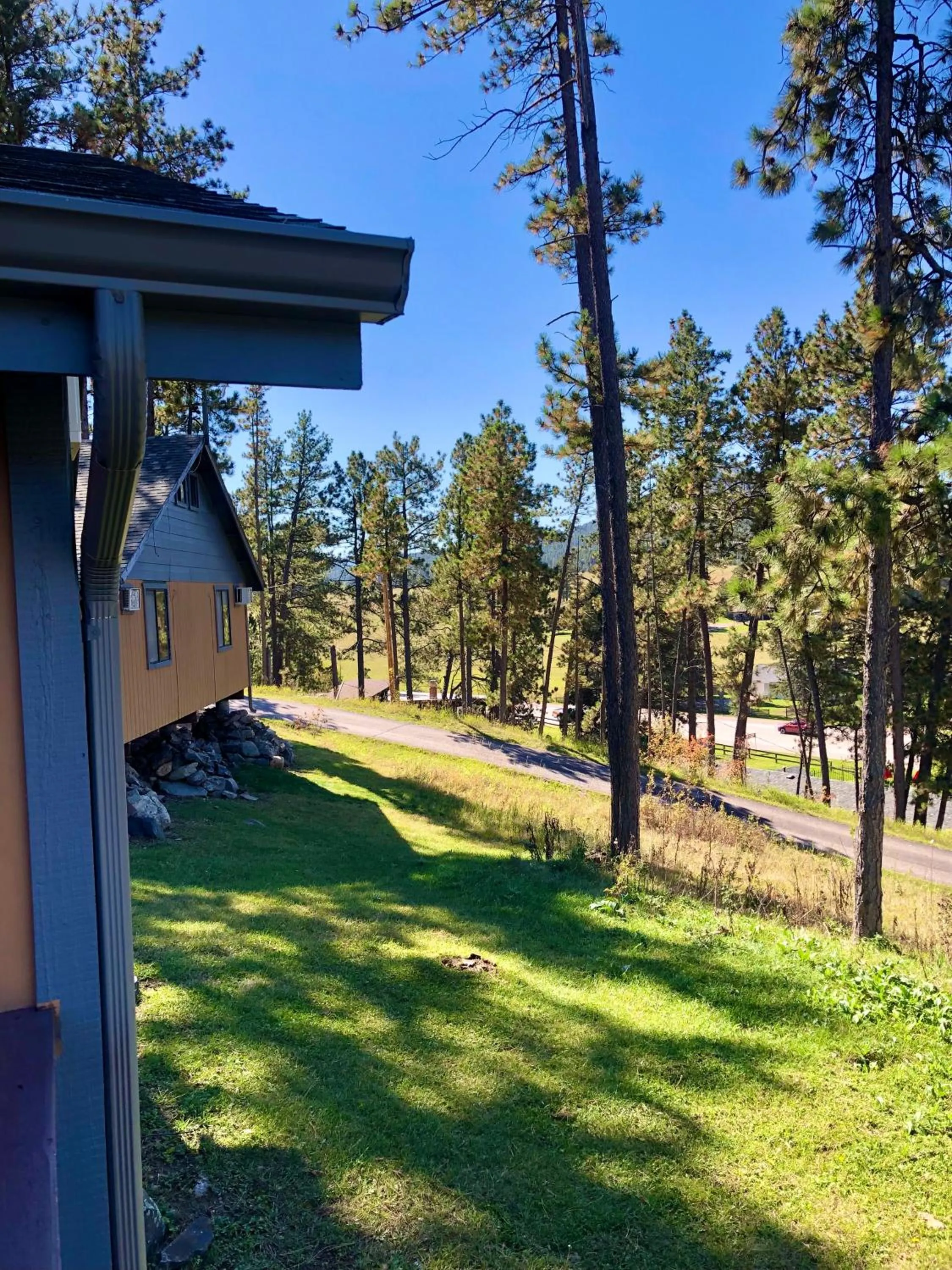 Natural landscape in Mountain View Lodge & Cabins