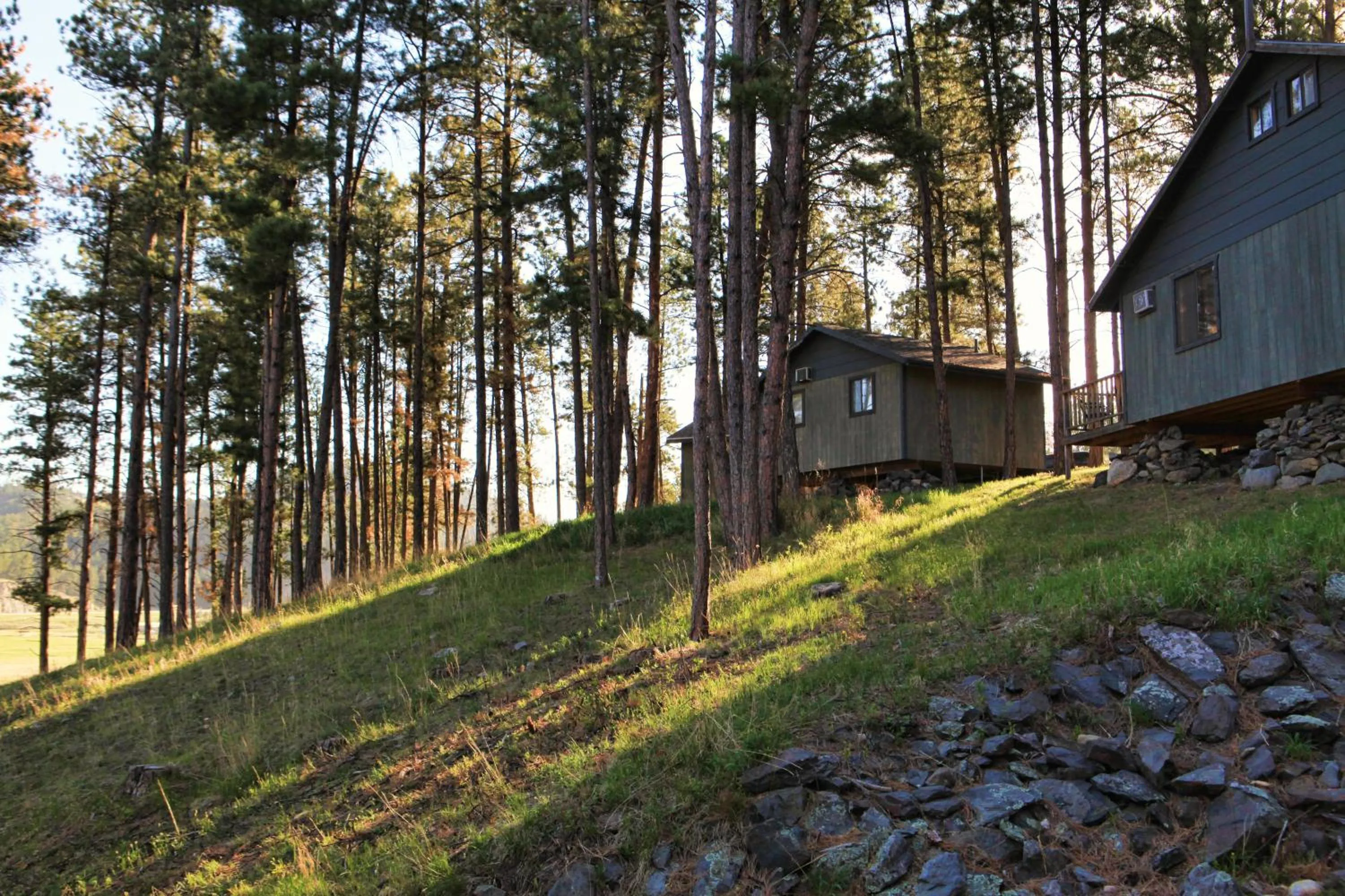 Area and facilities in Mountain View Lodge & Cabins