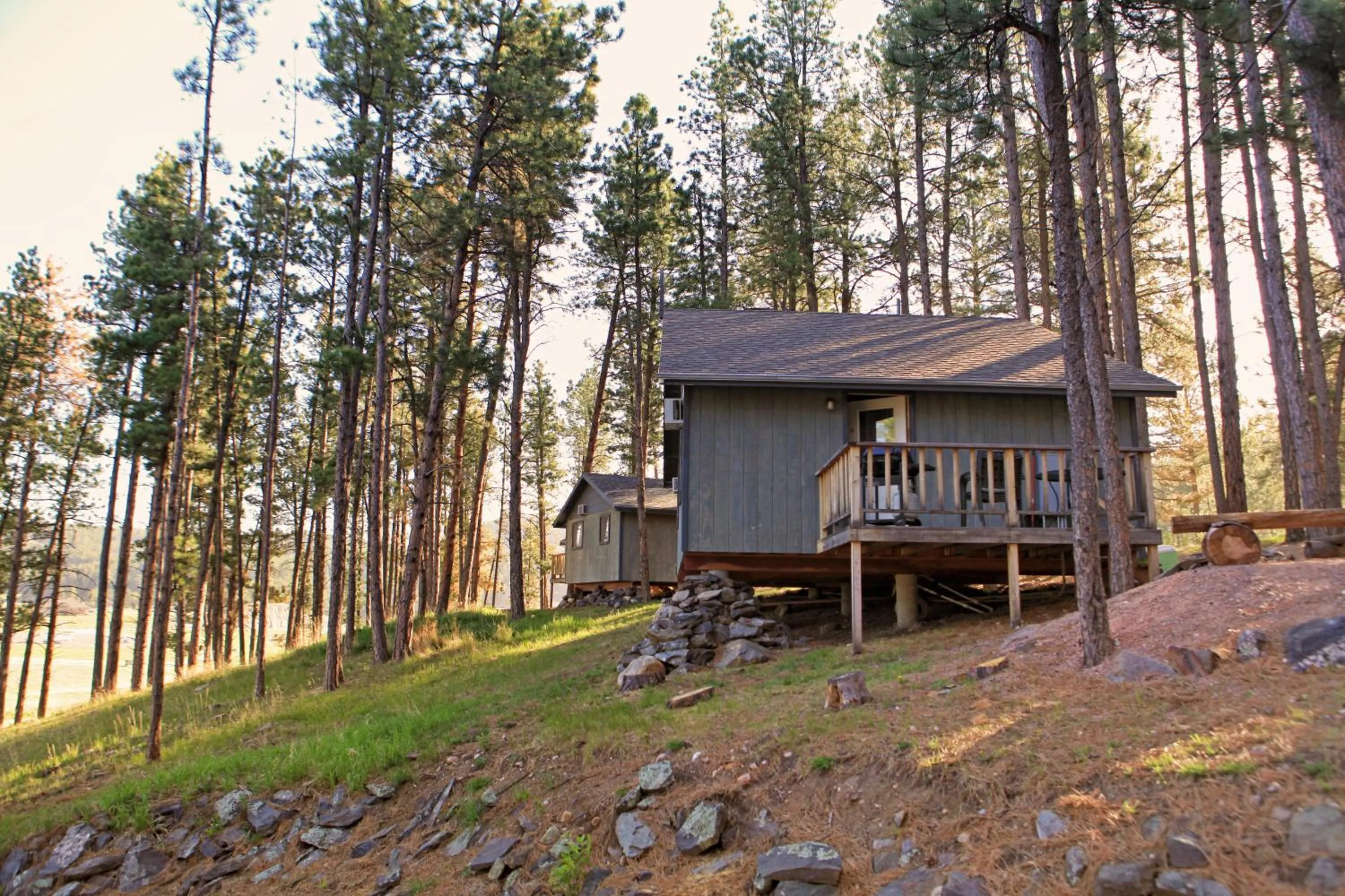 Facade/entrance in Mountain View Lodge & Cabins