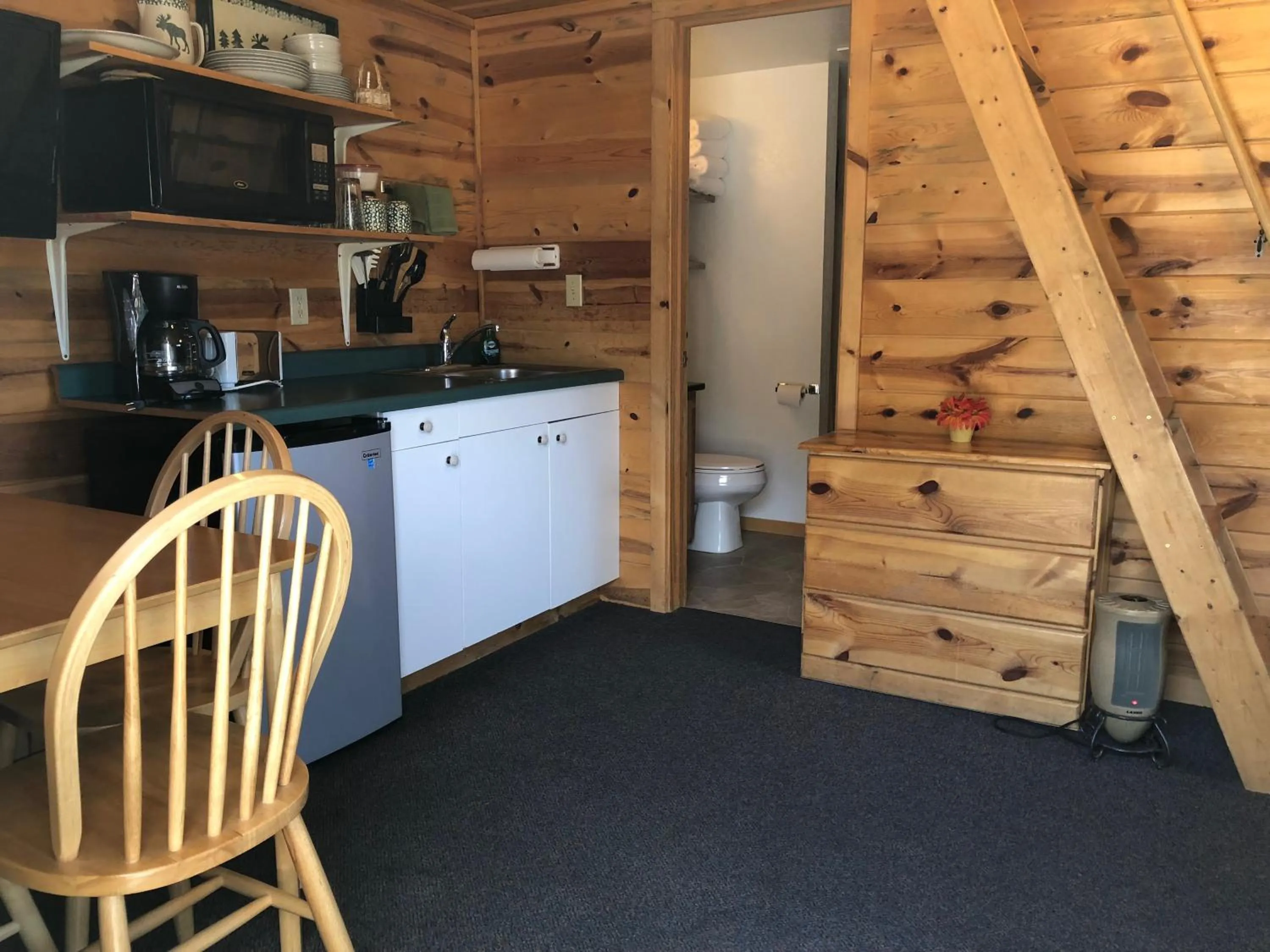 Kitchen or kitchenette in Mountain View Lodge & Cabins