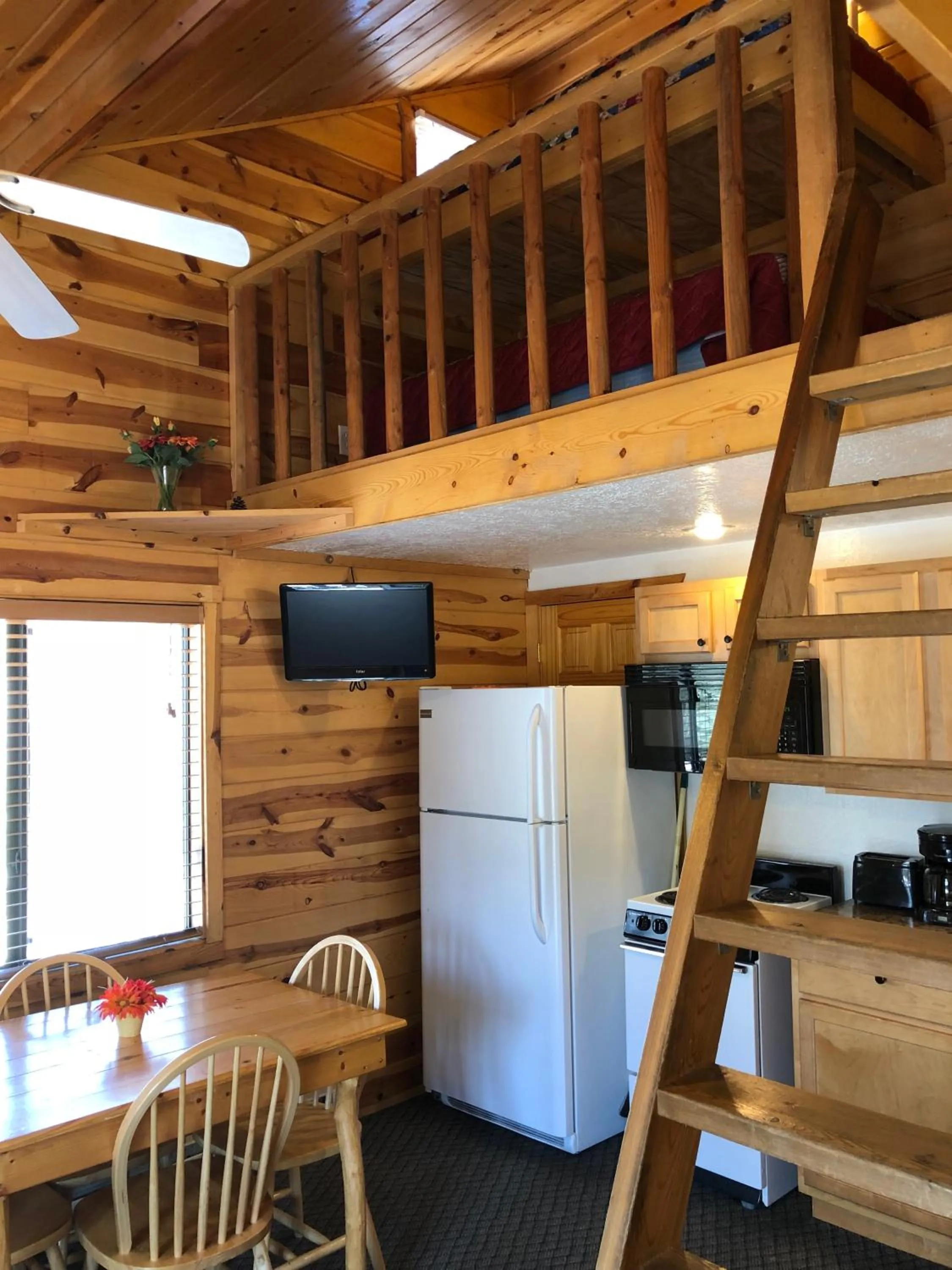 Kitchen or kitchenette in Mountain View Lodge & Cabins