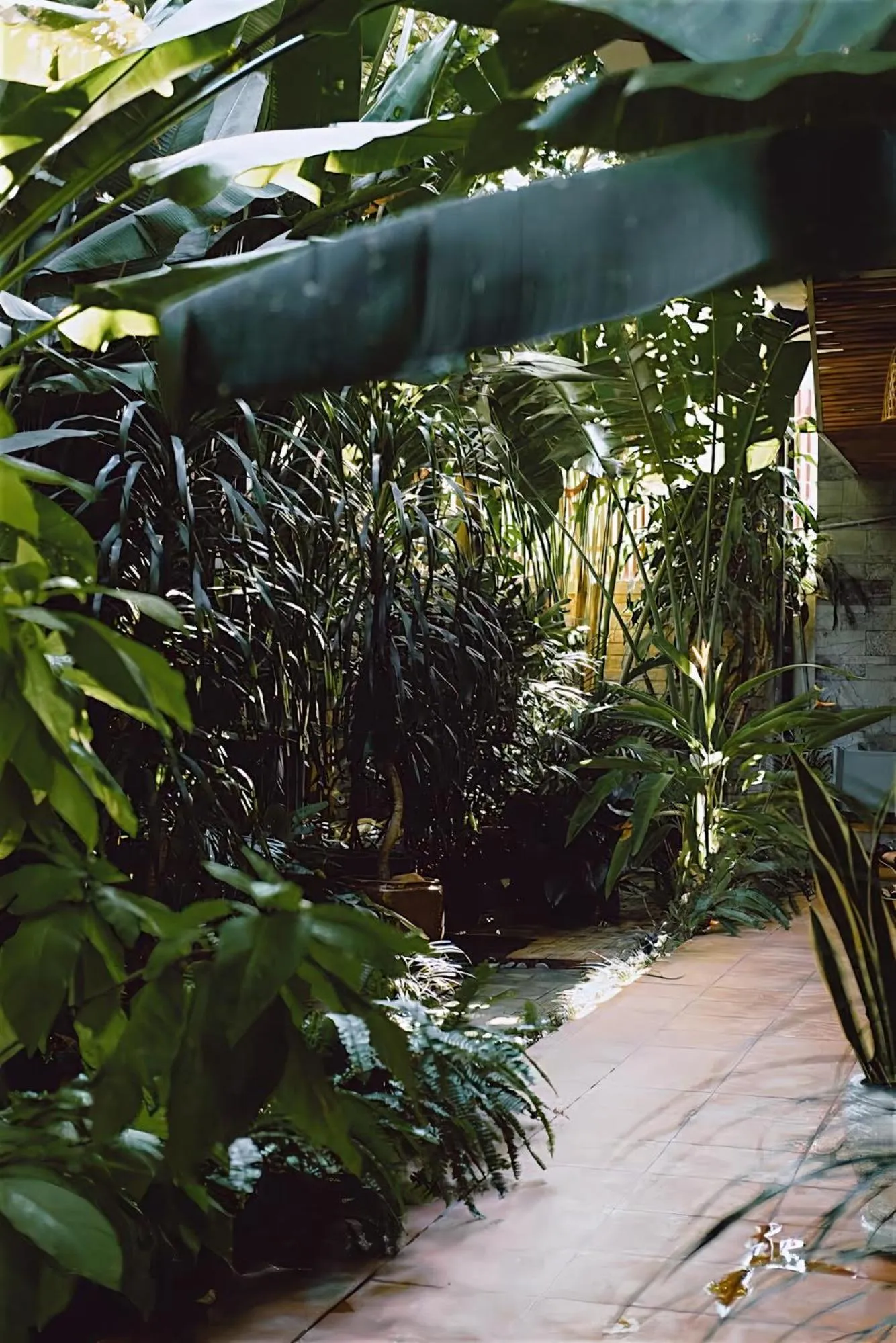 Garden view in Tropical Home Villa