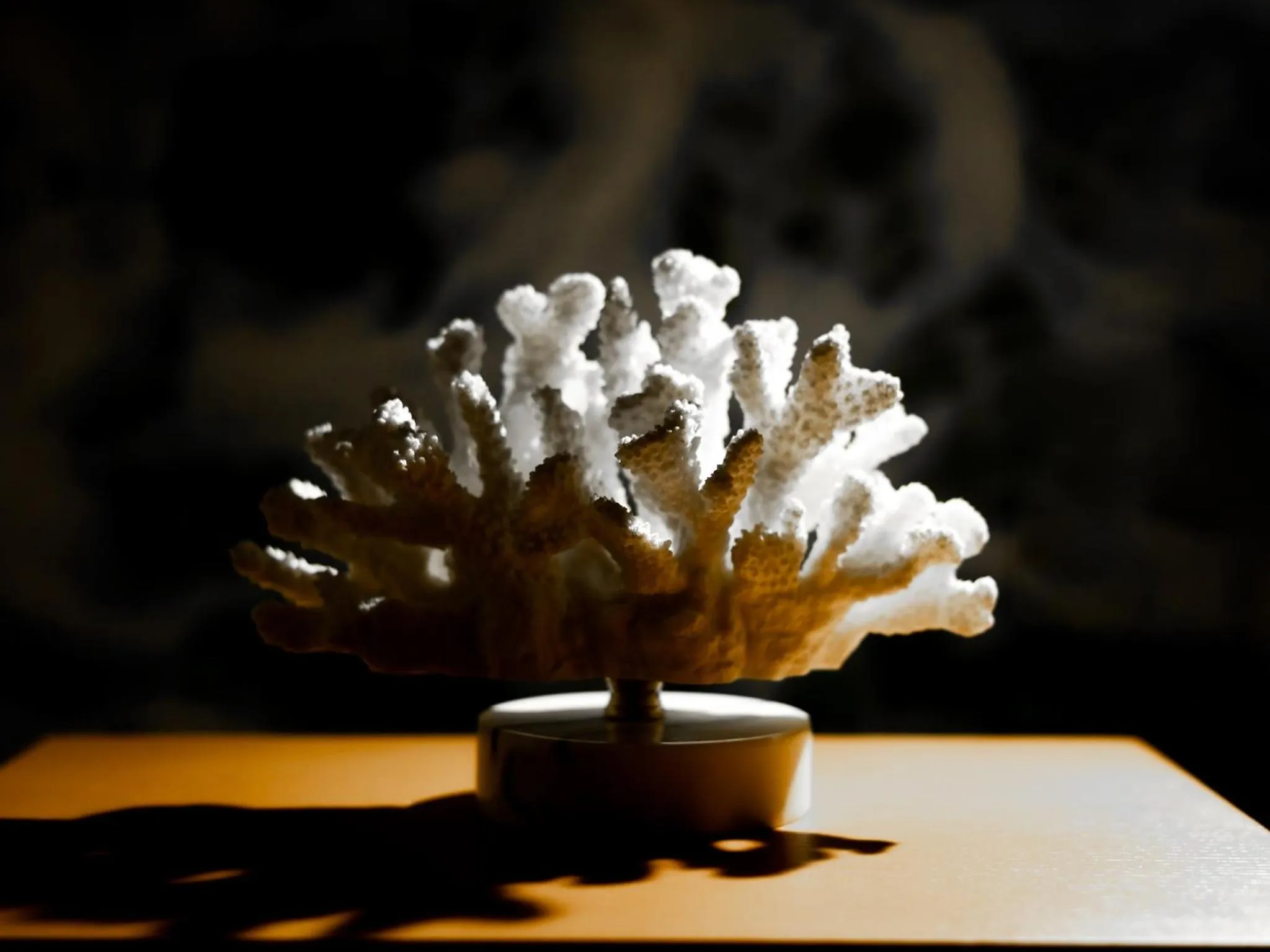 Decorative detail in The Moana