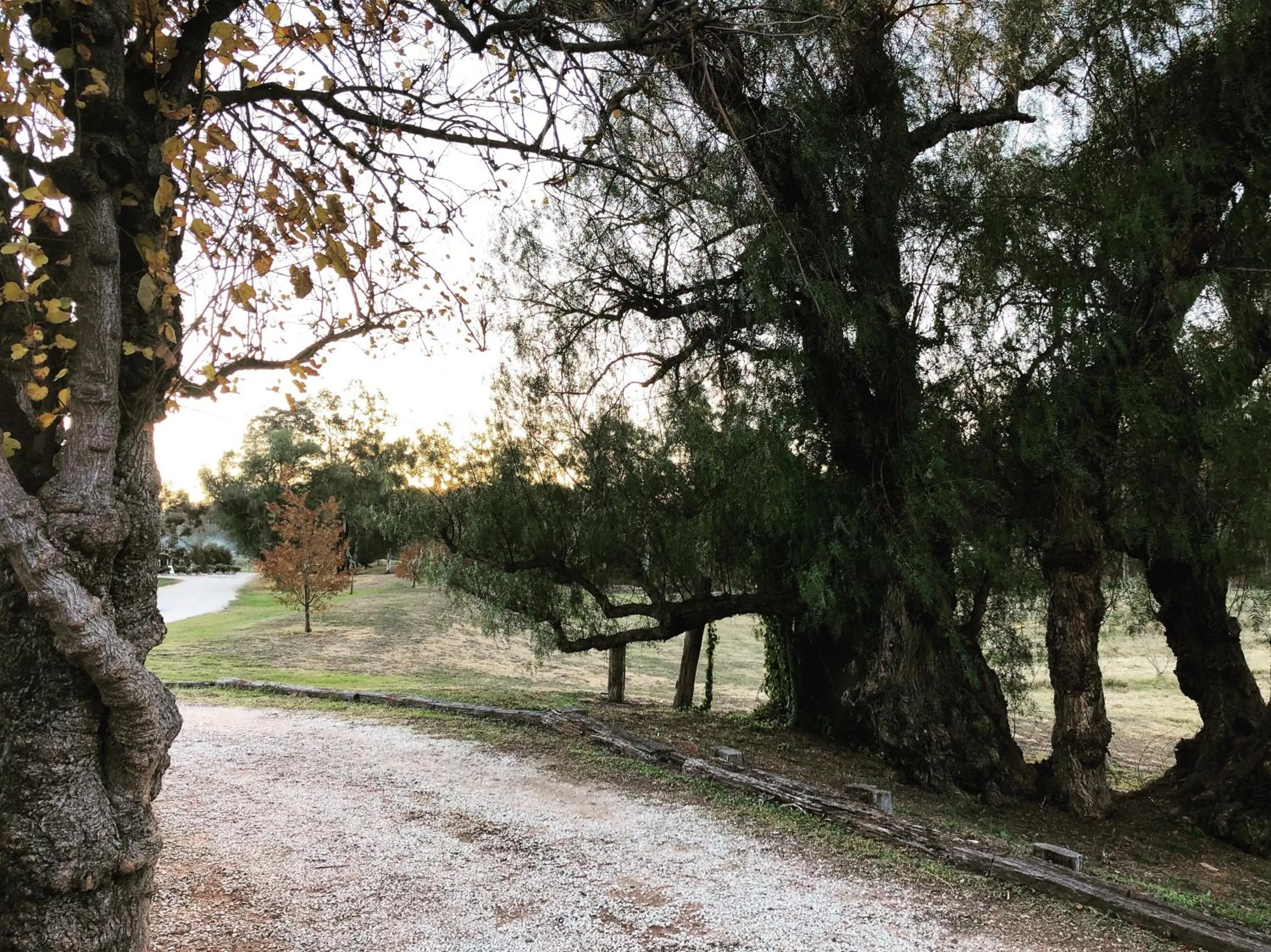 Natural landscape in Pieter van Gent Winery & Vineyard