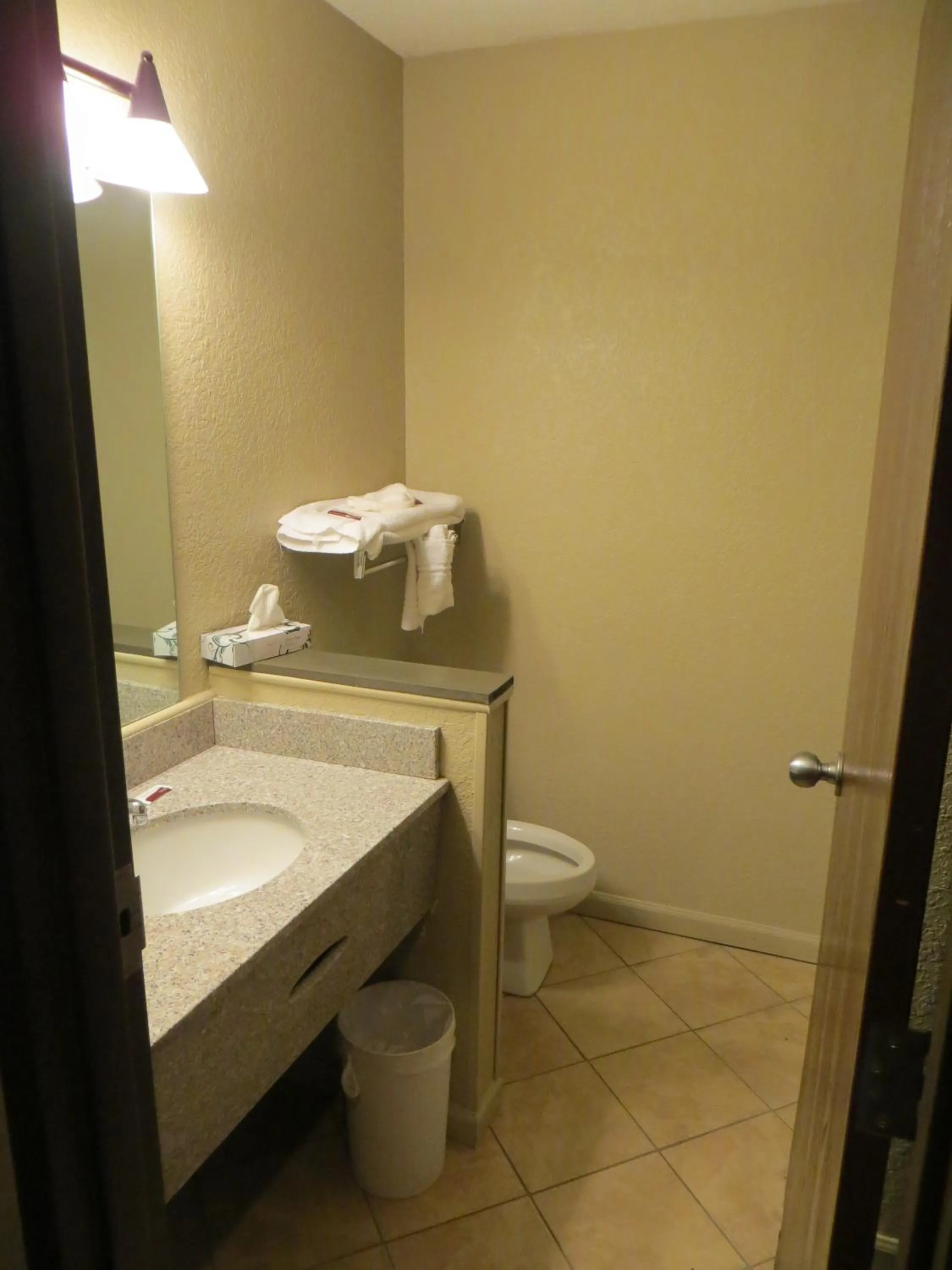 Shower in Americourt Hotel and Suites - Elizabethton