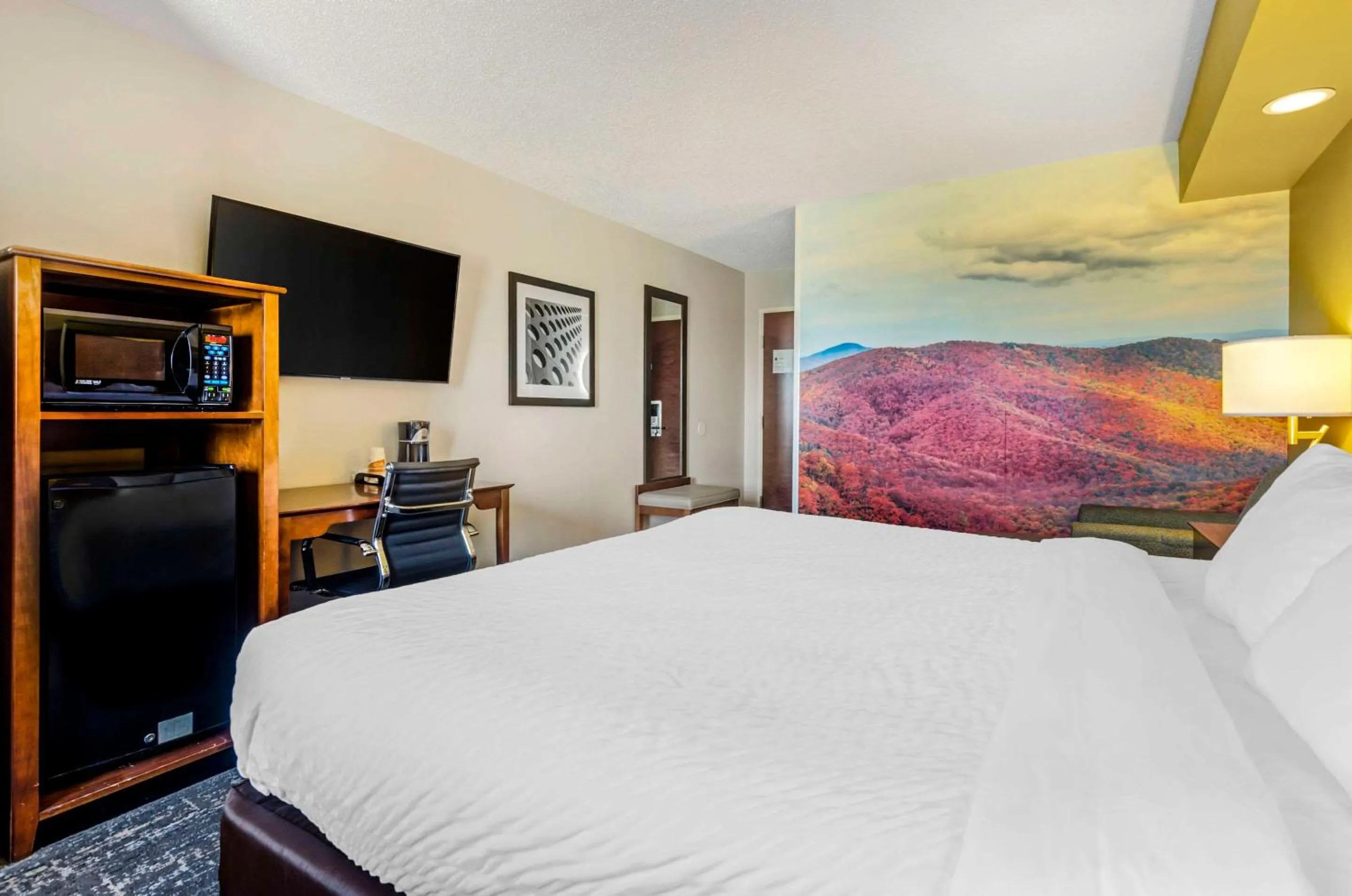 Photo of the whole room, Bed in Clarion Pointe Staunton East