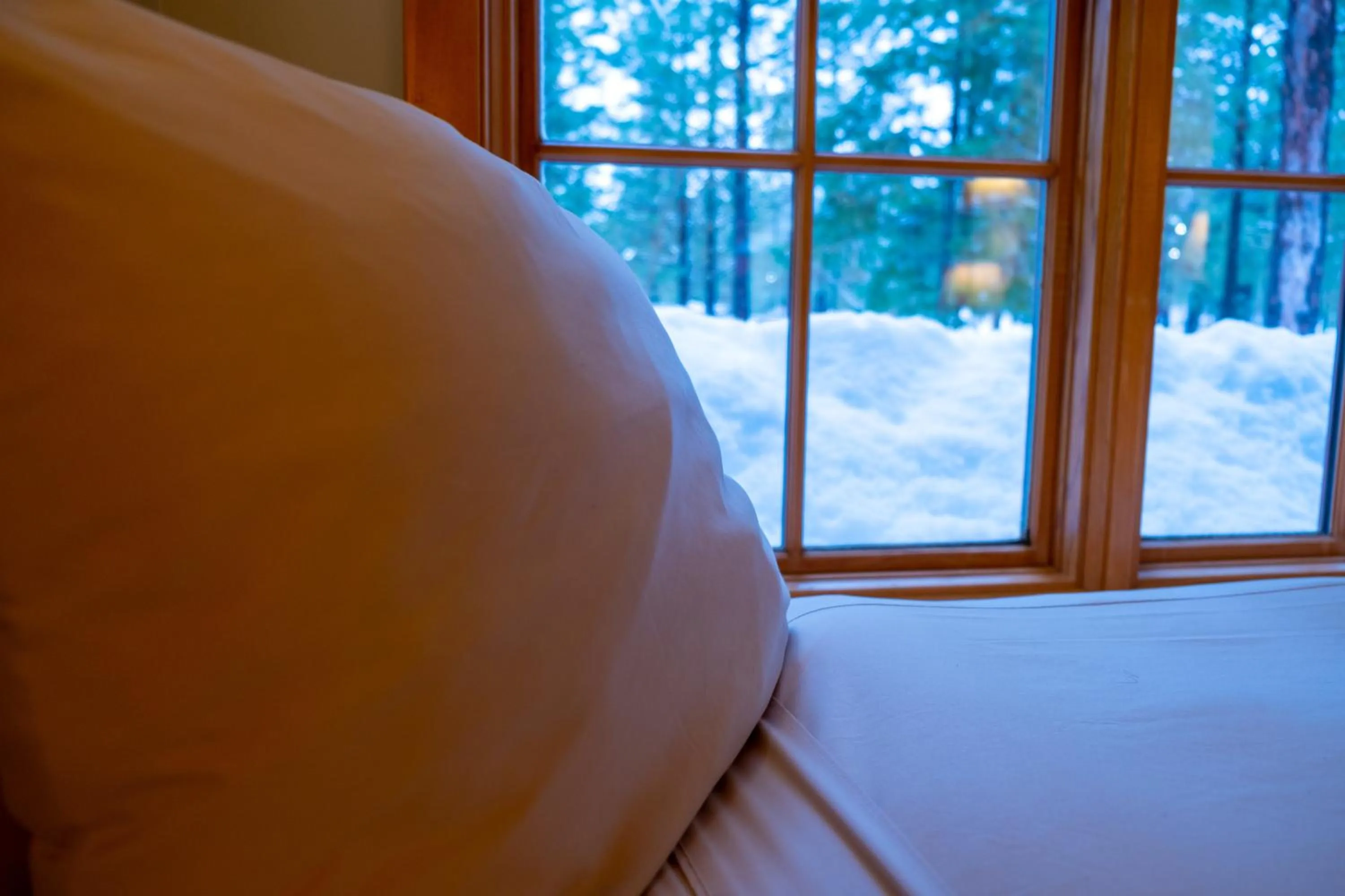 Bed in Sleeping Lady Mountain Resort