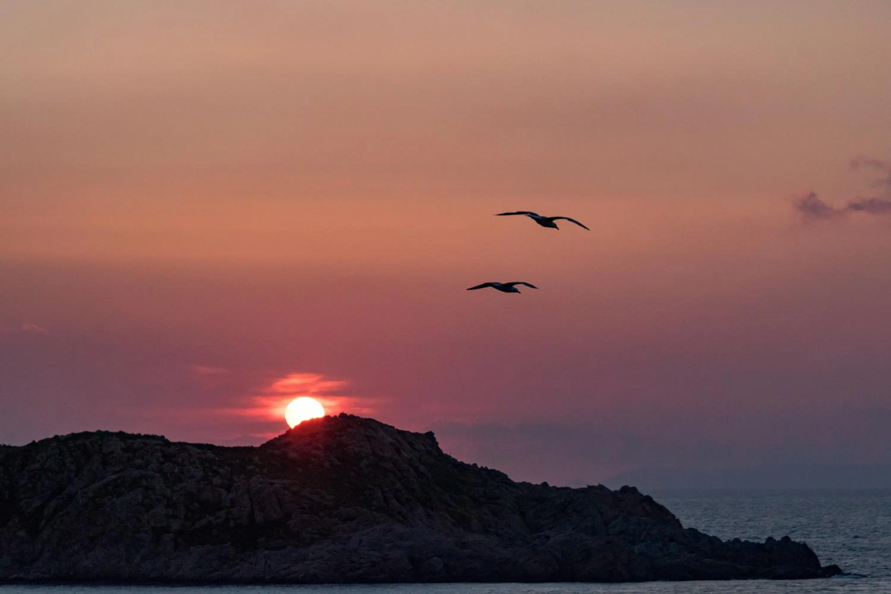 Il giardino degli ulivi