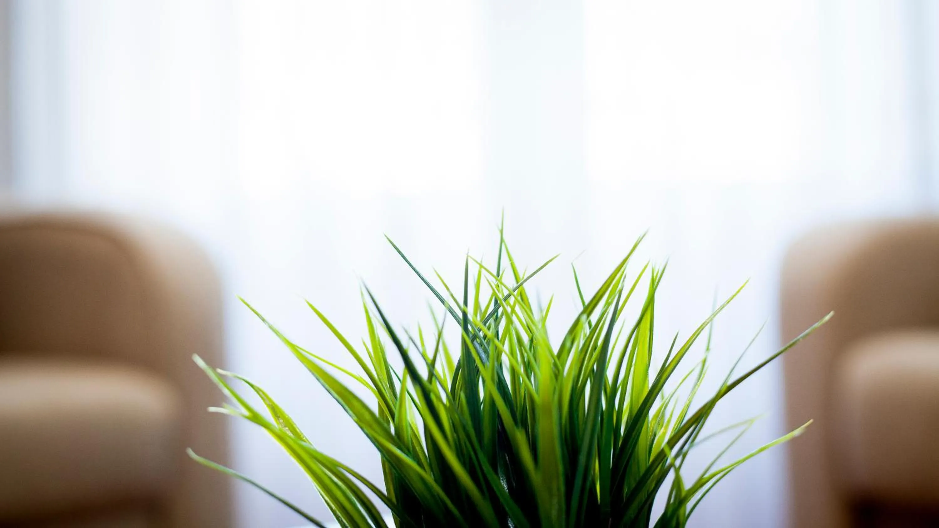 View (from property/room) in Apartamentos Villa Zoila Baiona