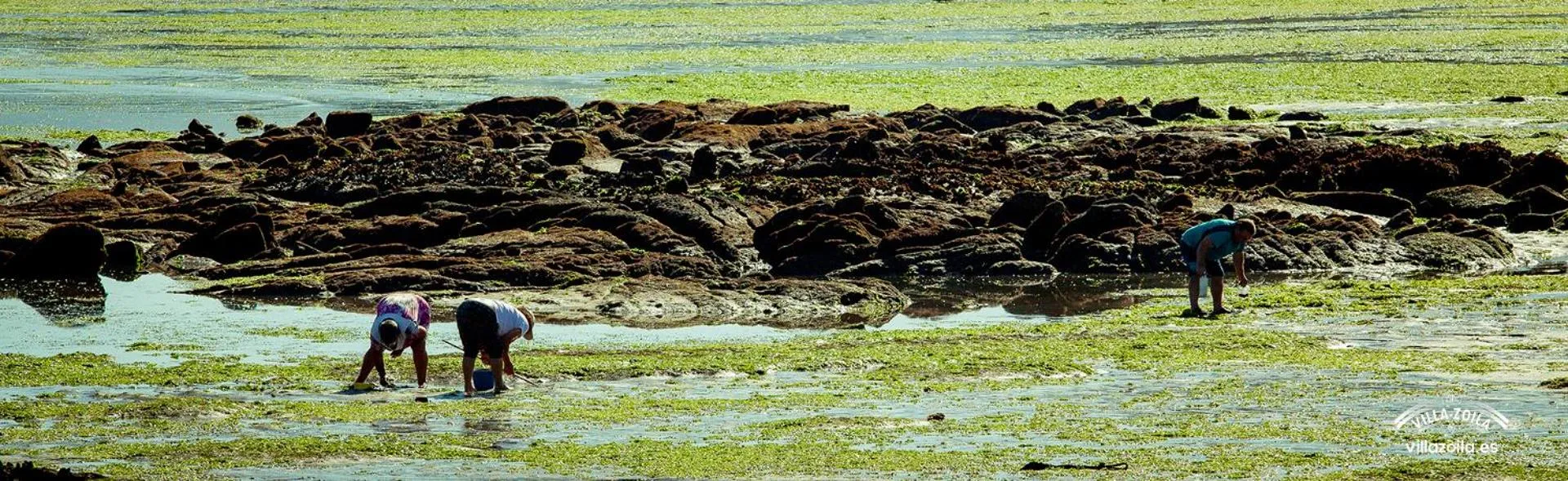 Apartamentos Villa Zoila Baiona