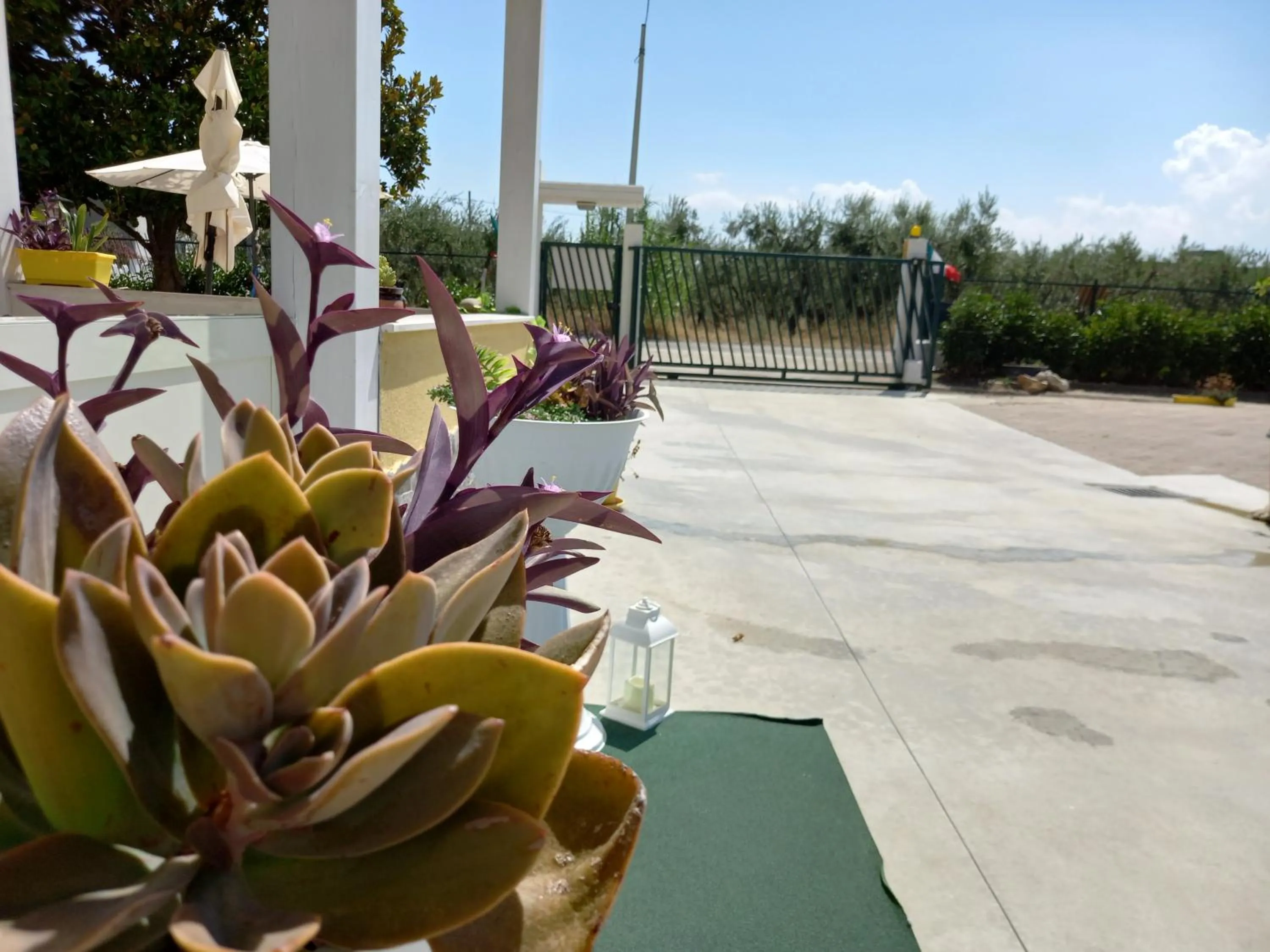 Garden in B&B IRIS COTTAGE