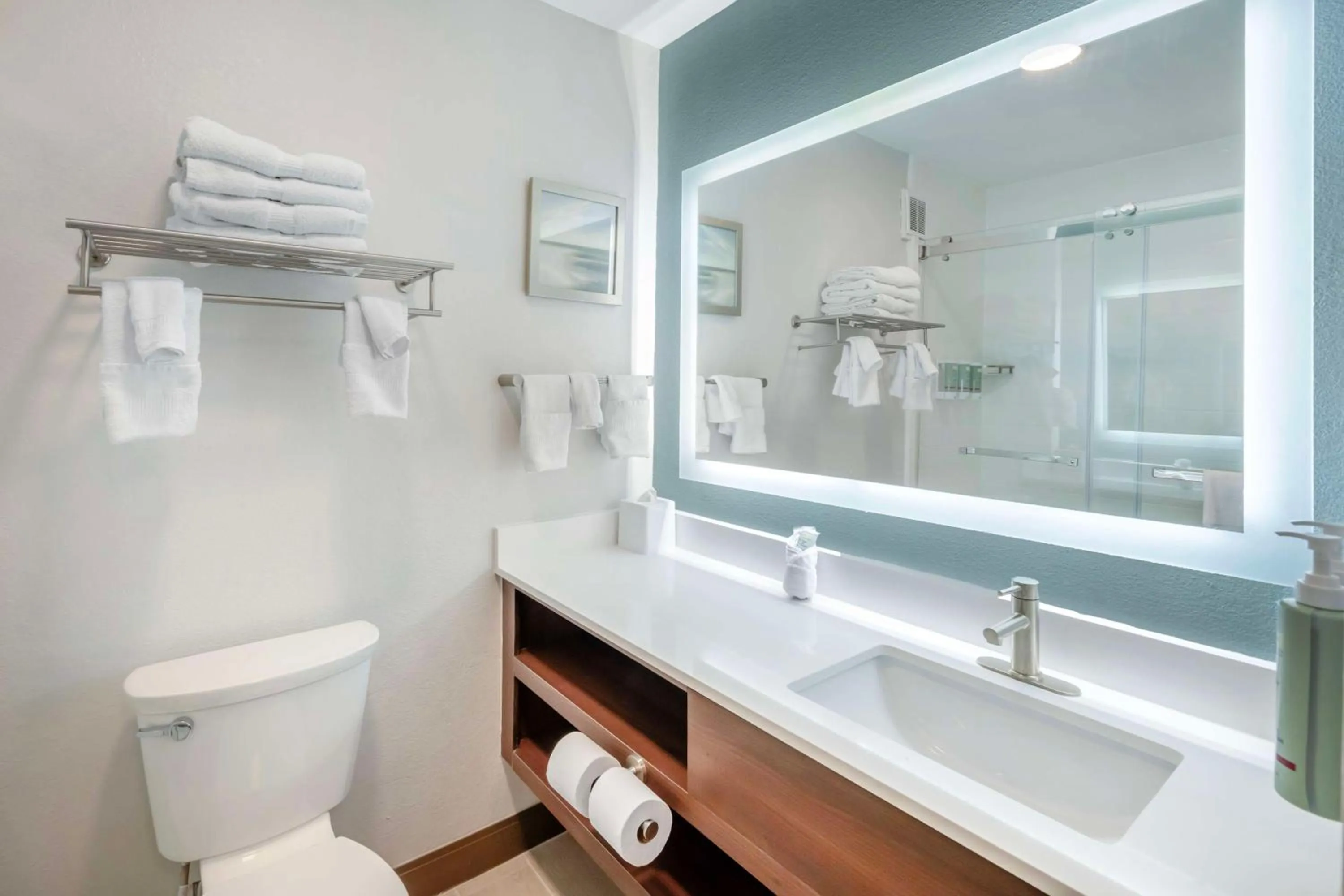 Bathroom in Best Western River Cities