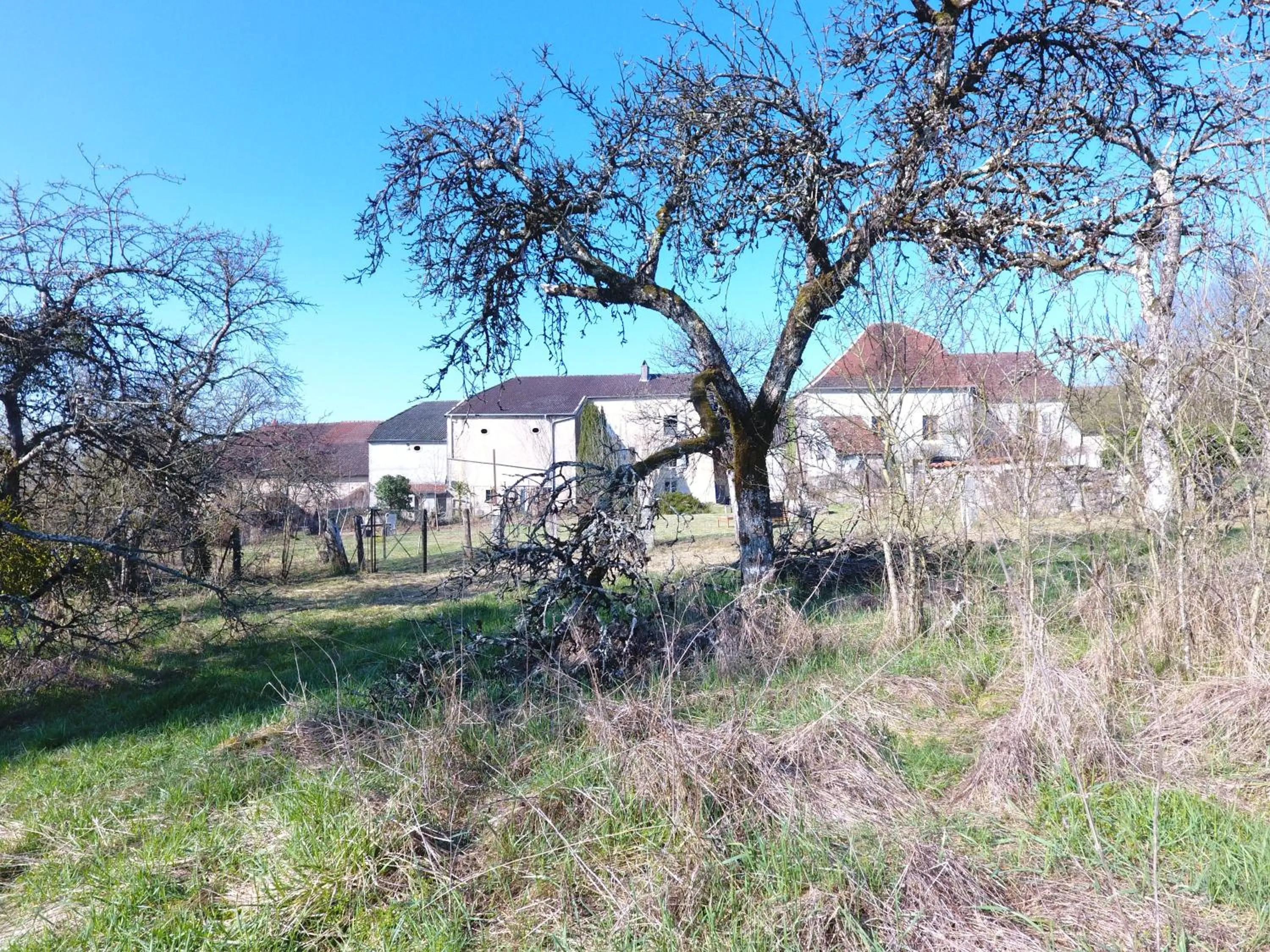 La Maison du Notaire - Chambre d'Hôtes - Huisdieren welkom