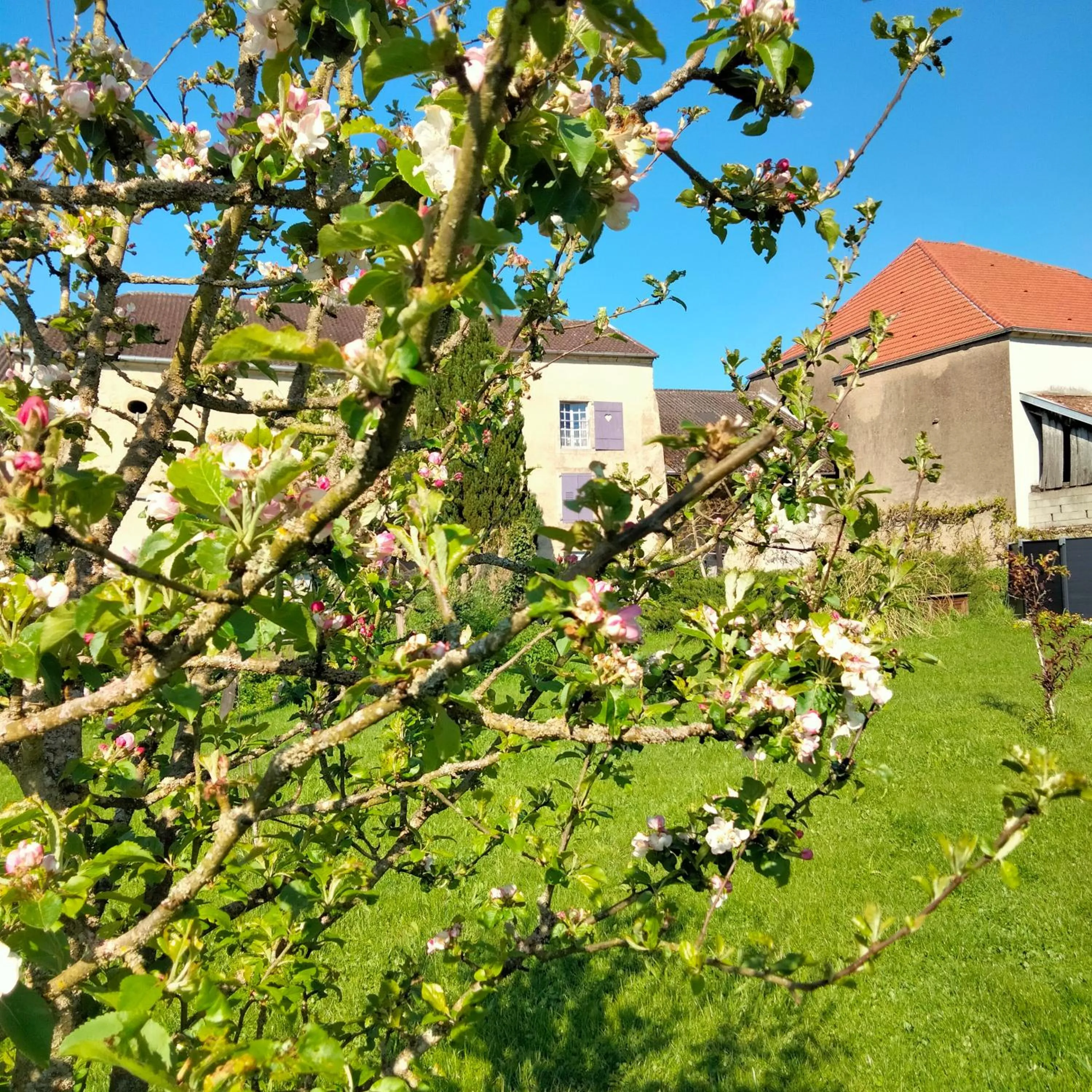 Garden in La Maison du Notaire - Chambre d'Hôtes - Huisdieren welkom
