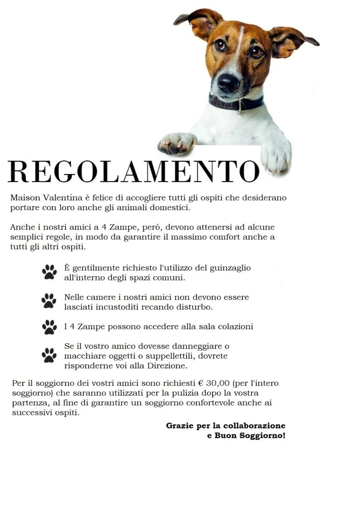 Pets in Maison Valentina