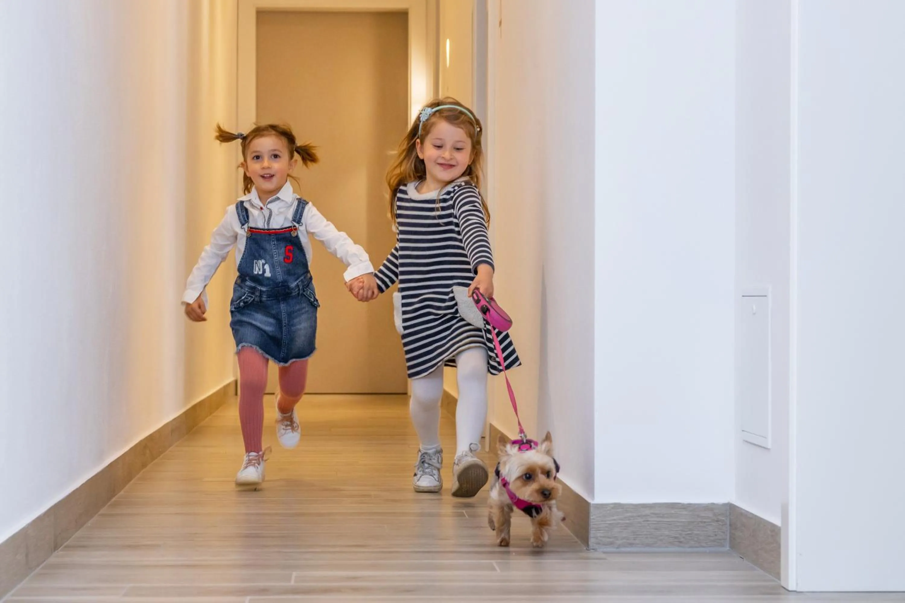 Animals in Maison Valentina