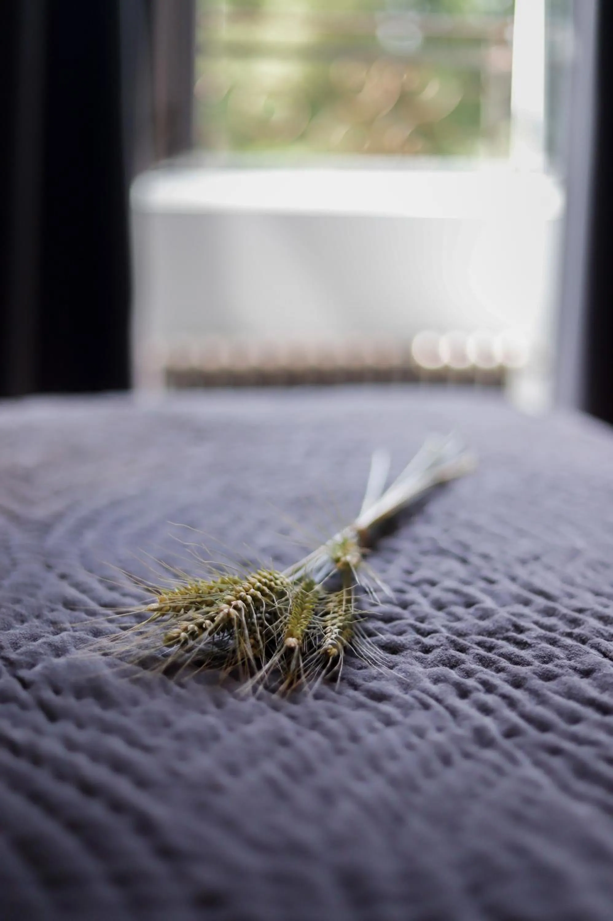 Bedroom in Le Moulin Bleu