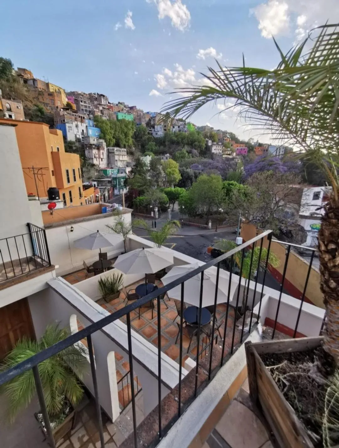 Garden in Hotel Jardín Cantador