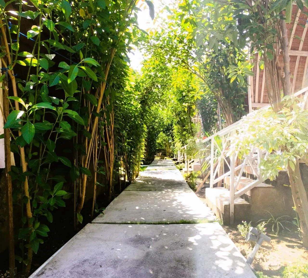 Garden in The Vagary Vibes