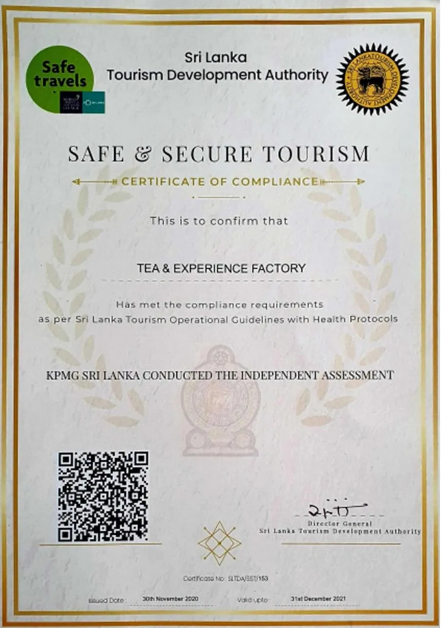 Logo/Certificate/Sign in Tea and Experience Factory - Thema Collection