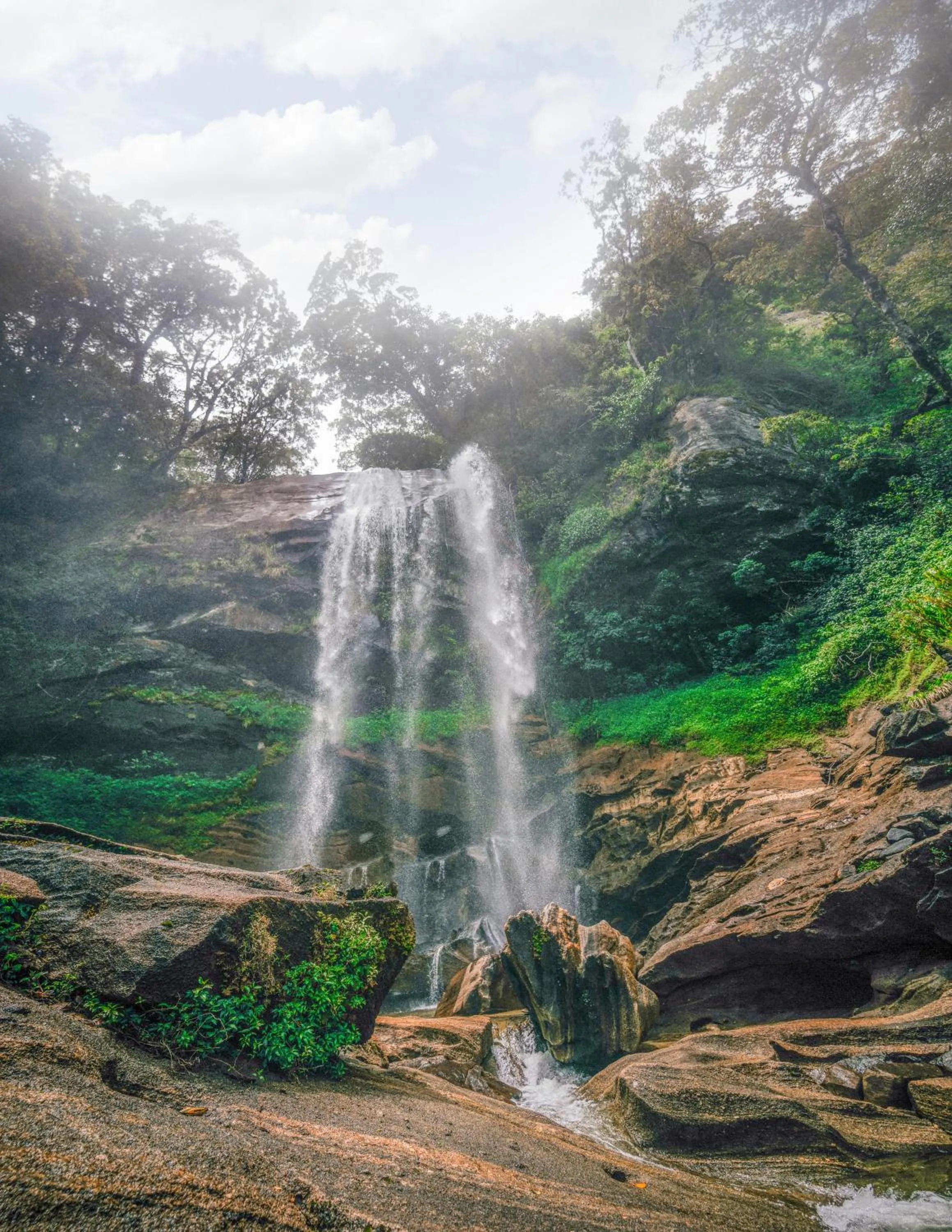 Nearby landmark in Tea and Experience Factory - Thema Collection