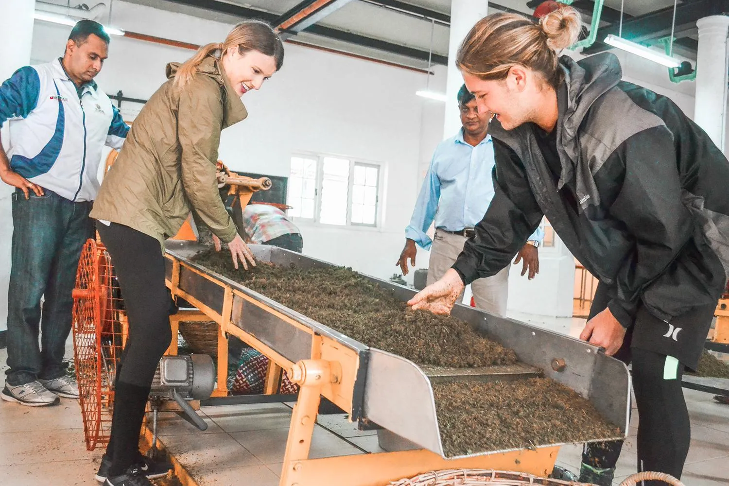 Activities in Tea and Experience Factory - Thema Collection