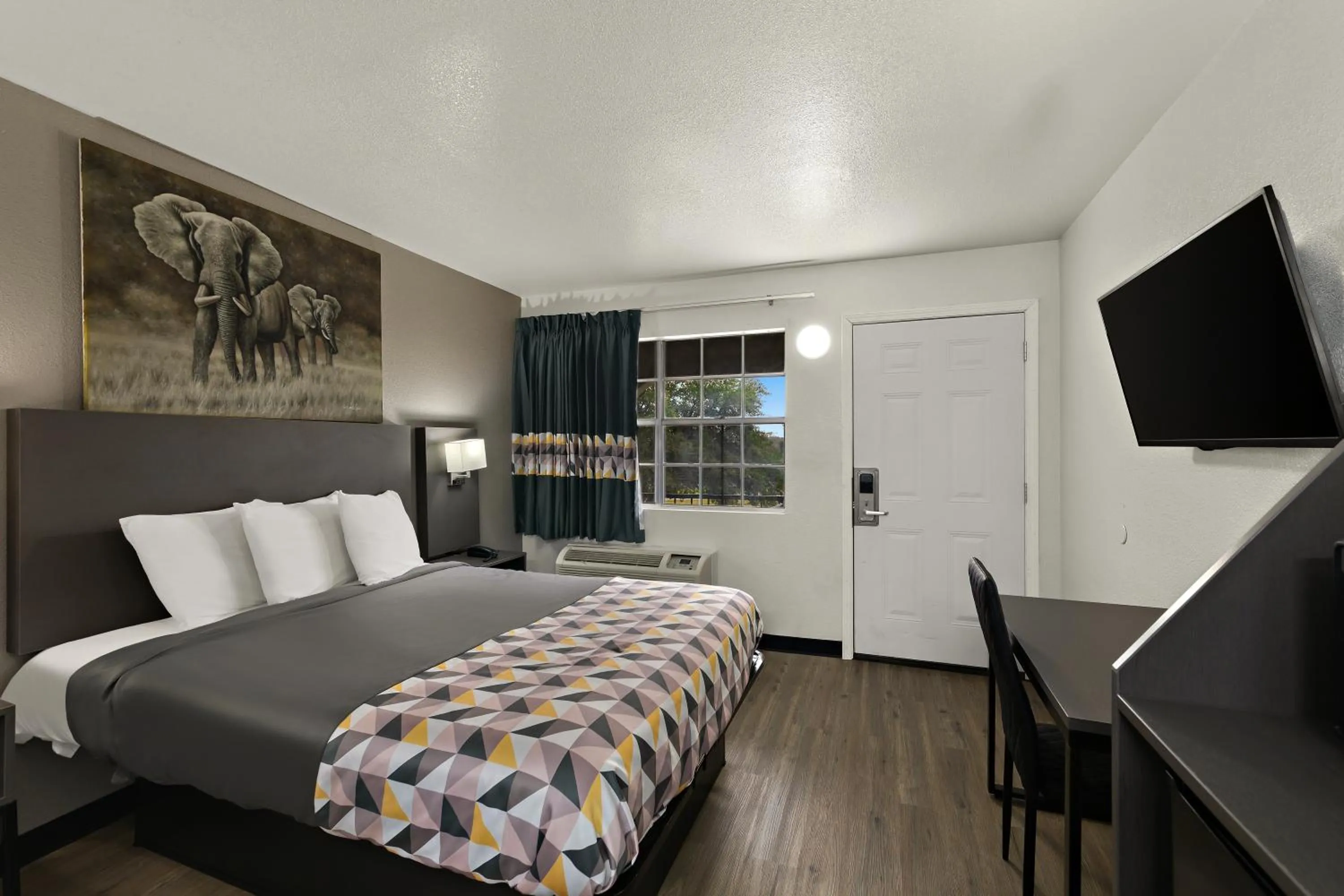 Bed in Knights Inn - Belton/Temple