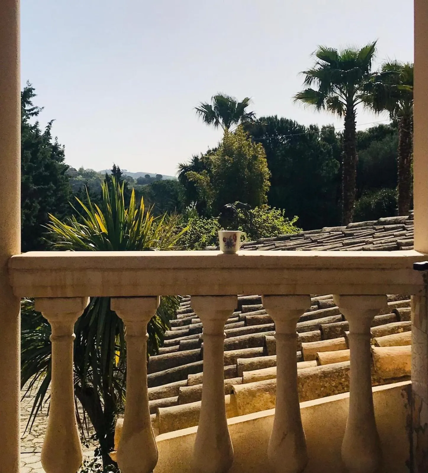 View (from property/room) in Agriresort Villa Bentivoglio