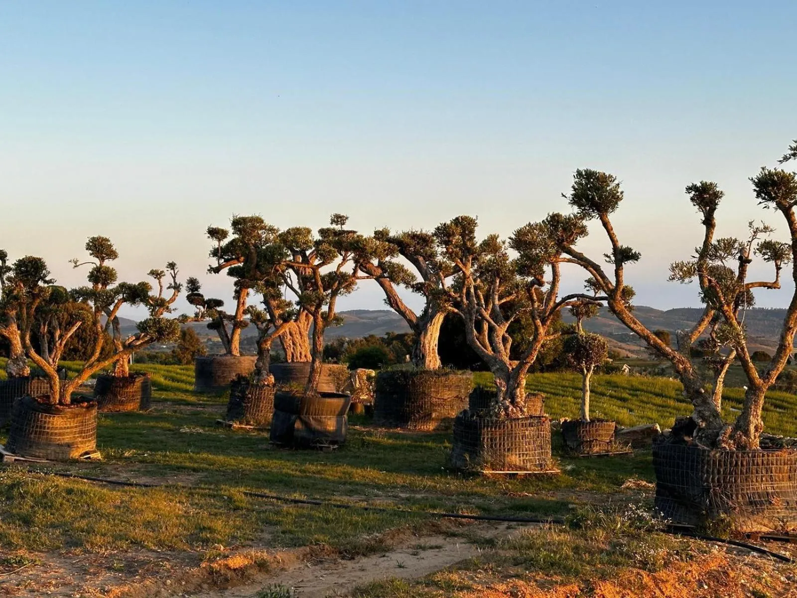 Nearby landmark in Agriresort Villa Bentivoglio