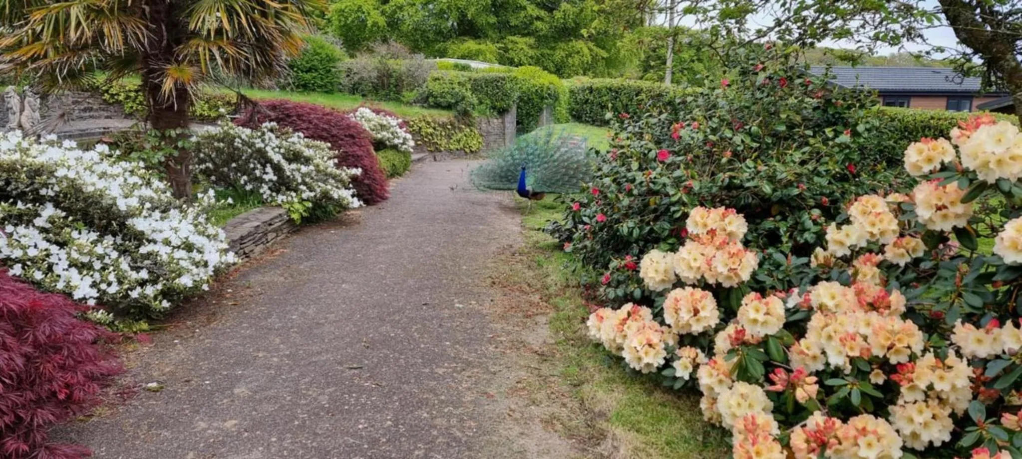 Property building in Great Trethew Hotel - Self Catering Lodges - Bar & Restaurant