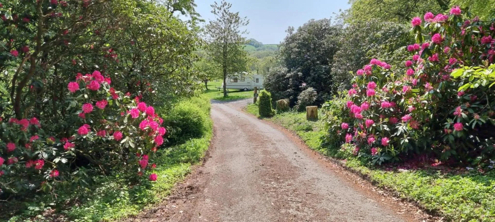 Property building in Great Trethew Hotel - Self Catering Lodges - Bar & Restaurant