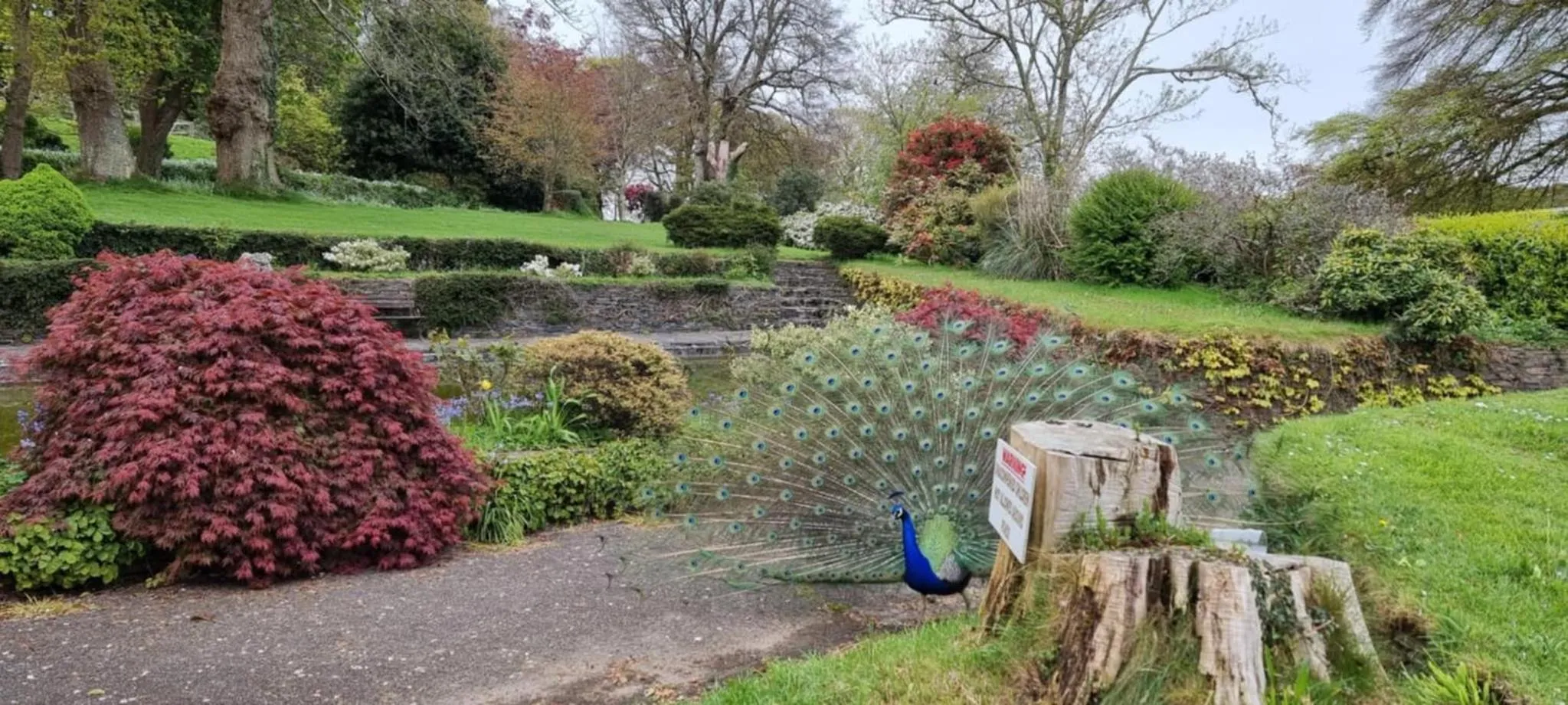 Property building in Great Trethew Hotel - Self Catering Lodges - Bar & Restaurant