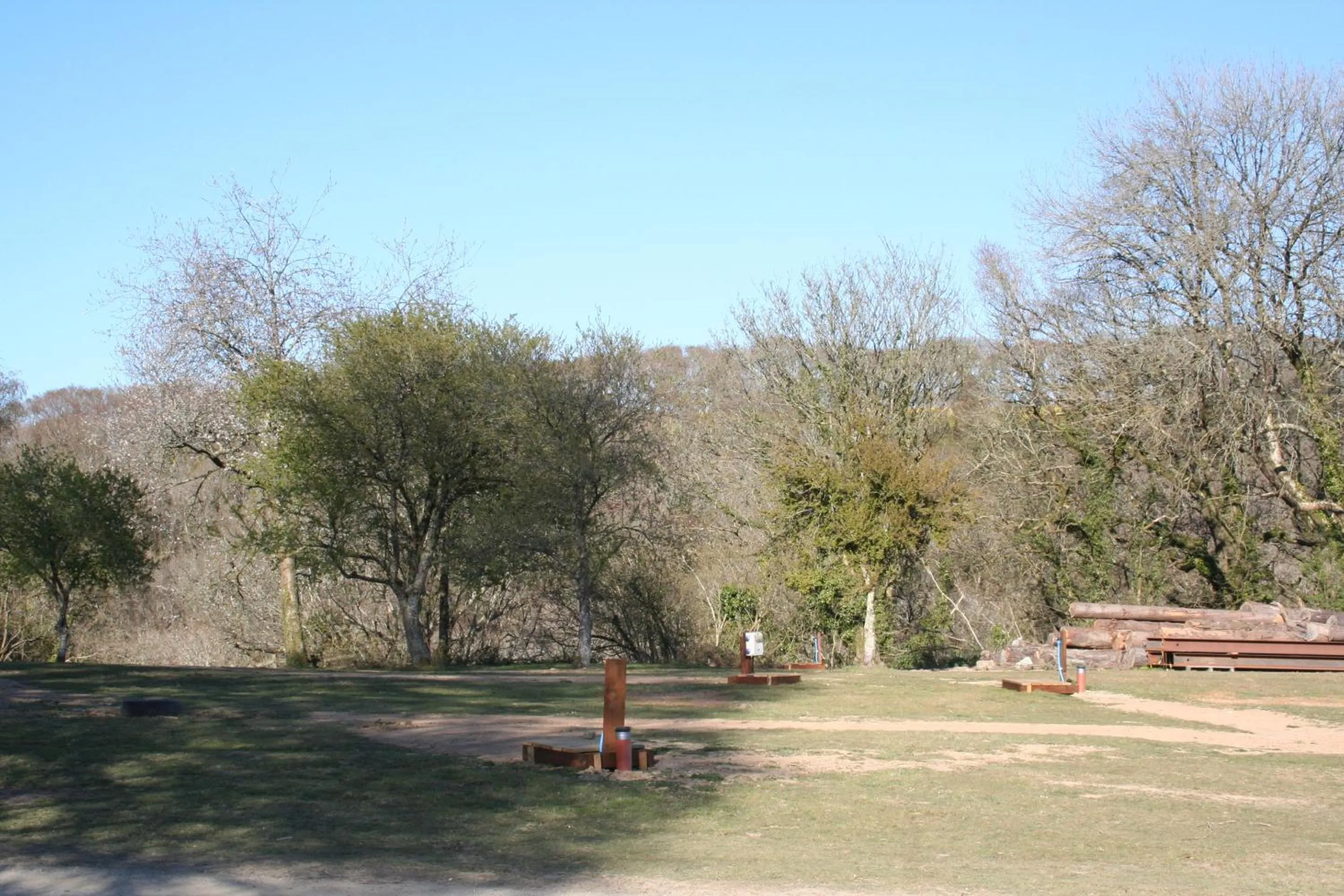 Garden in Great Trethew Hotel - Self Catering Lodges - Bar & Restaurant