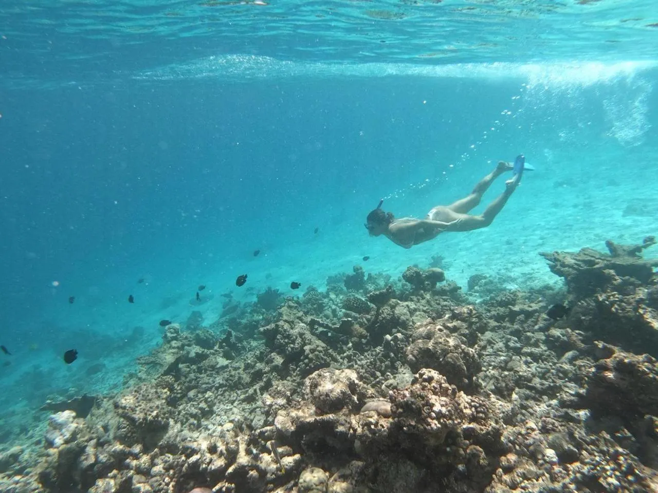 Snorkeling in Moodhumaa Inn