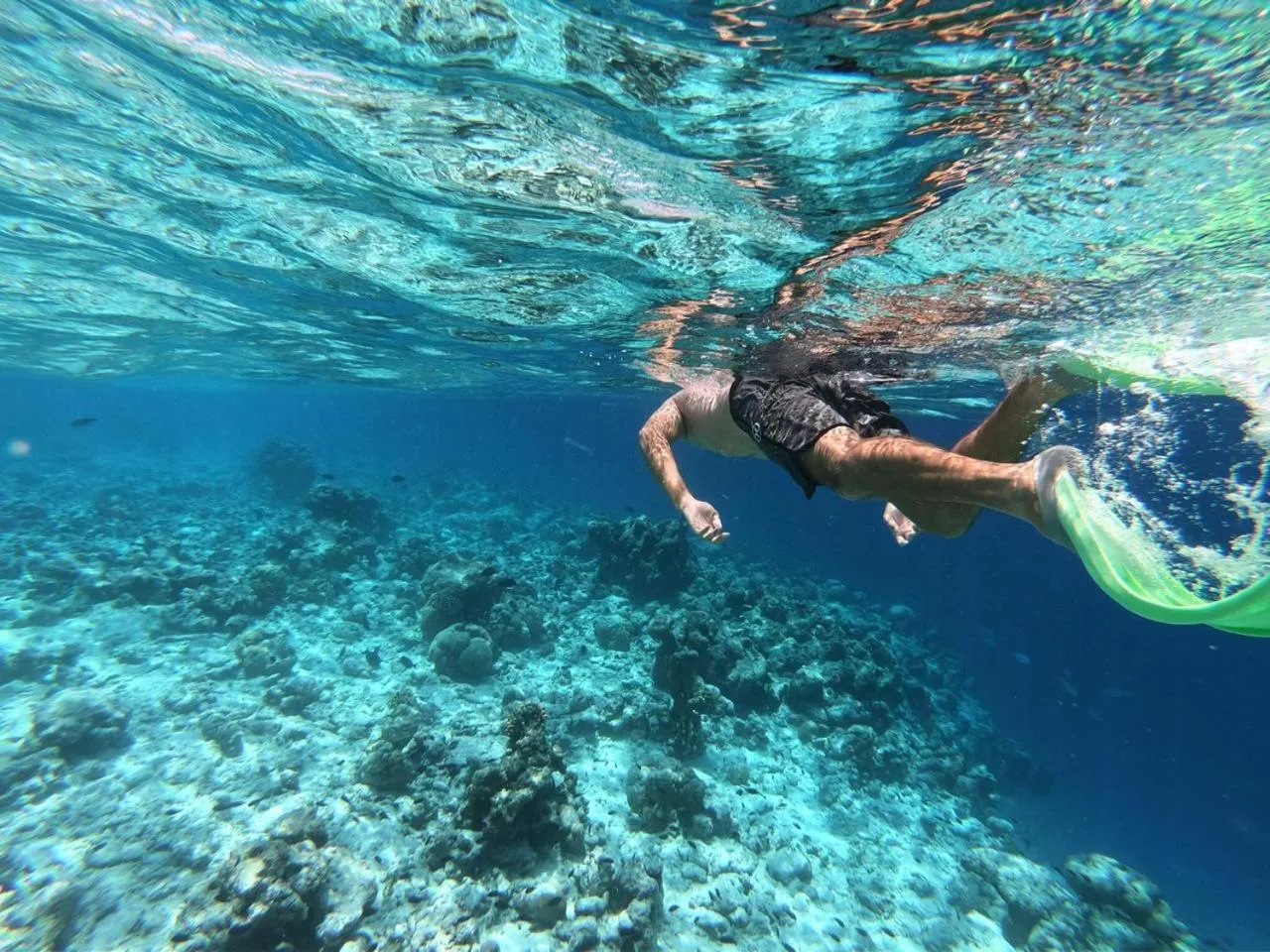 Snorkeling in Moodhumaa Inn