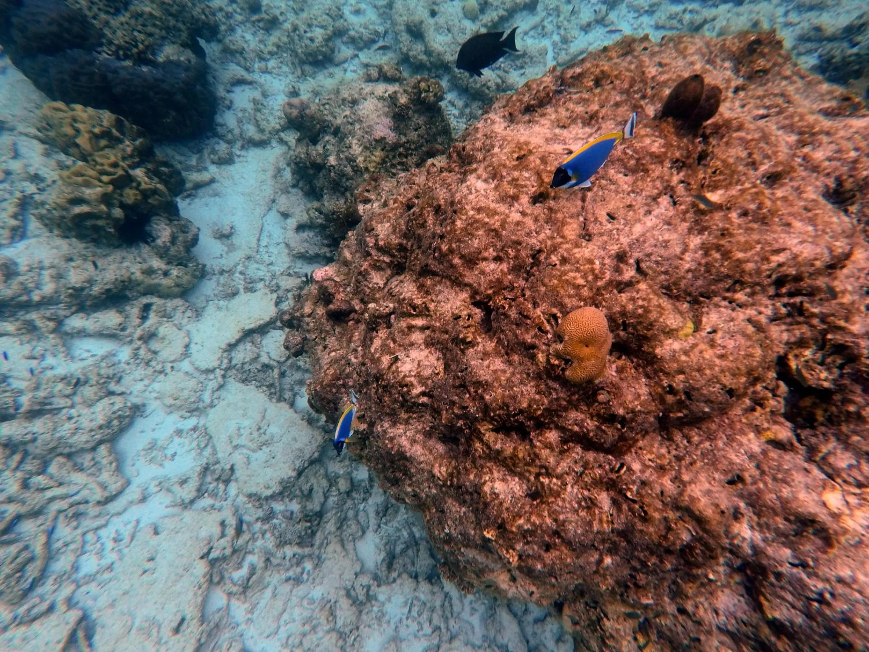 Activities in Moodhumaa Inn