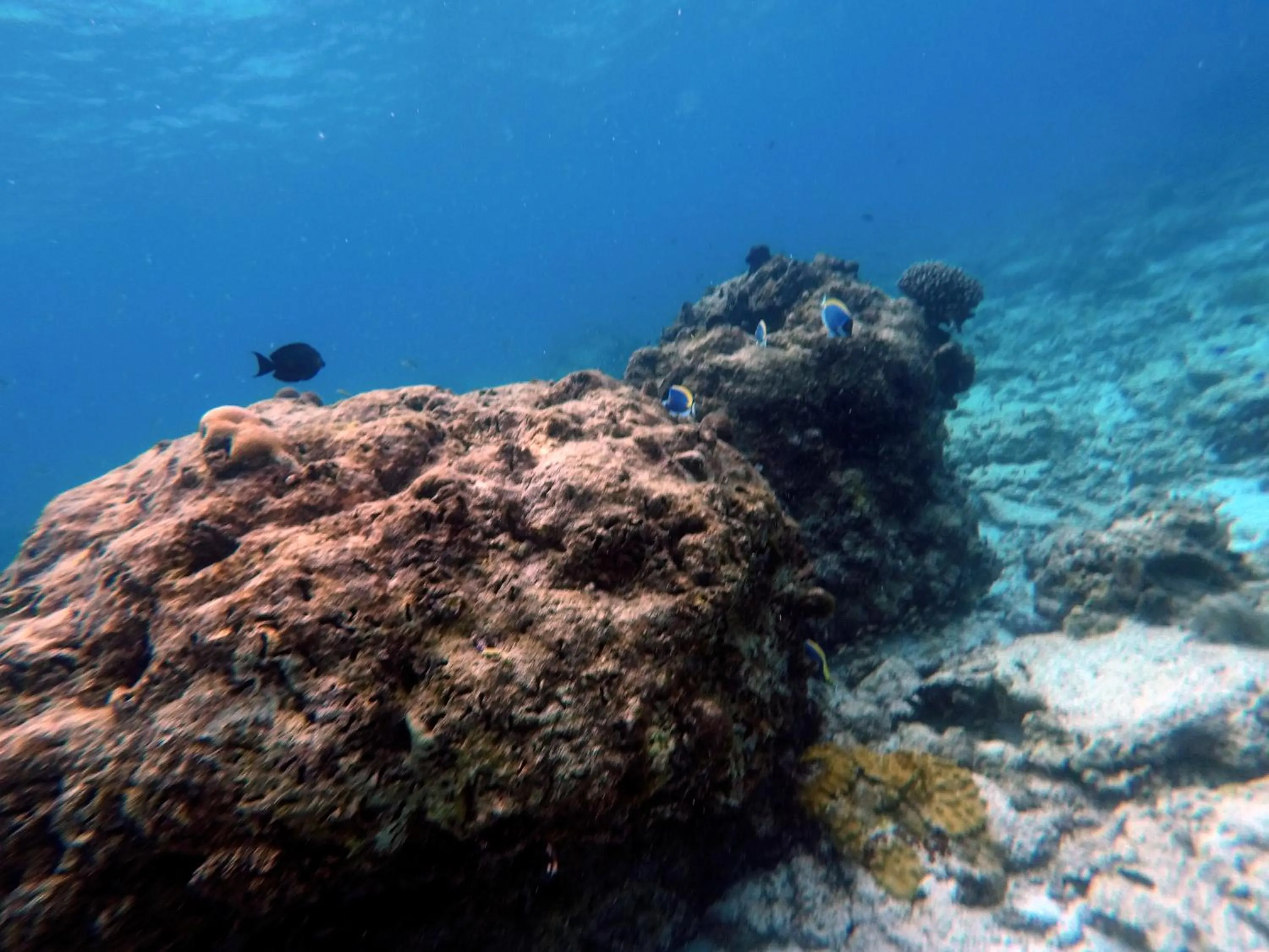 Activities in Moodhumaa Inn