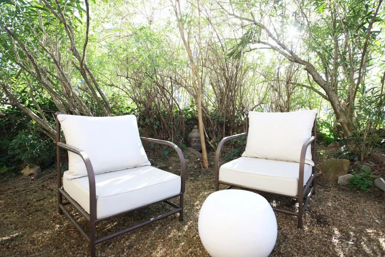 Garden in Le Mas Fraissinet