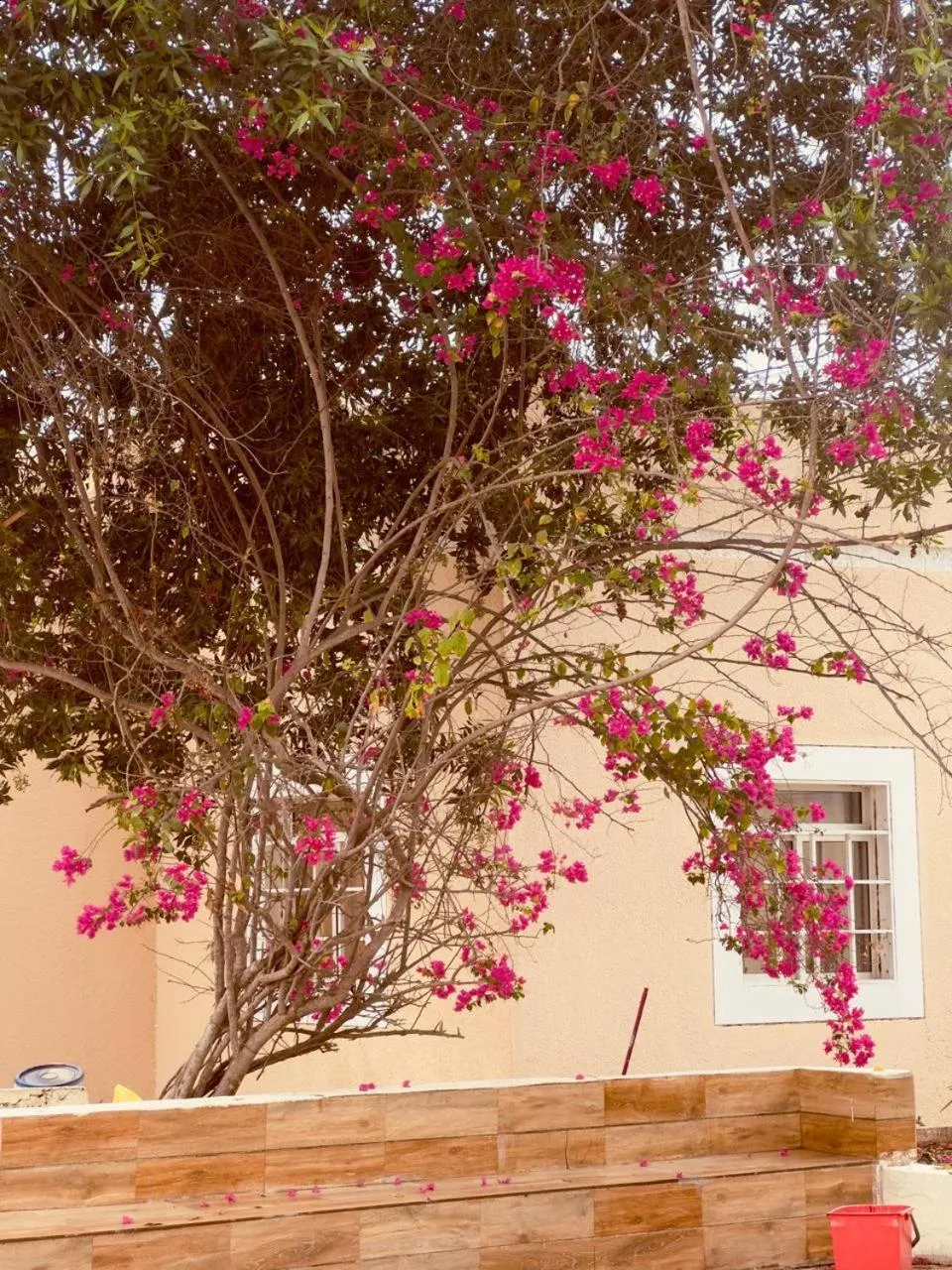 Star Emirates Garden Villas Salalah