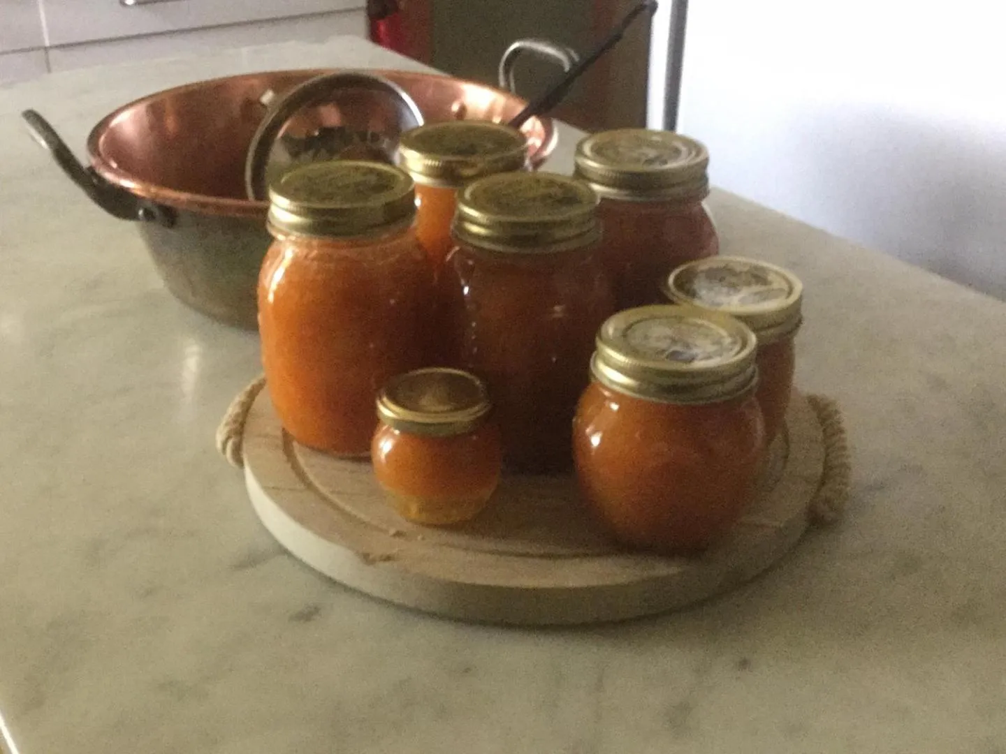 Activities in Mirabilia