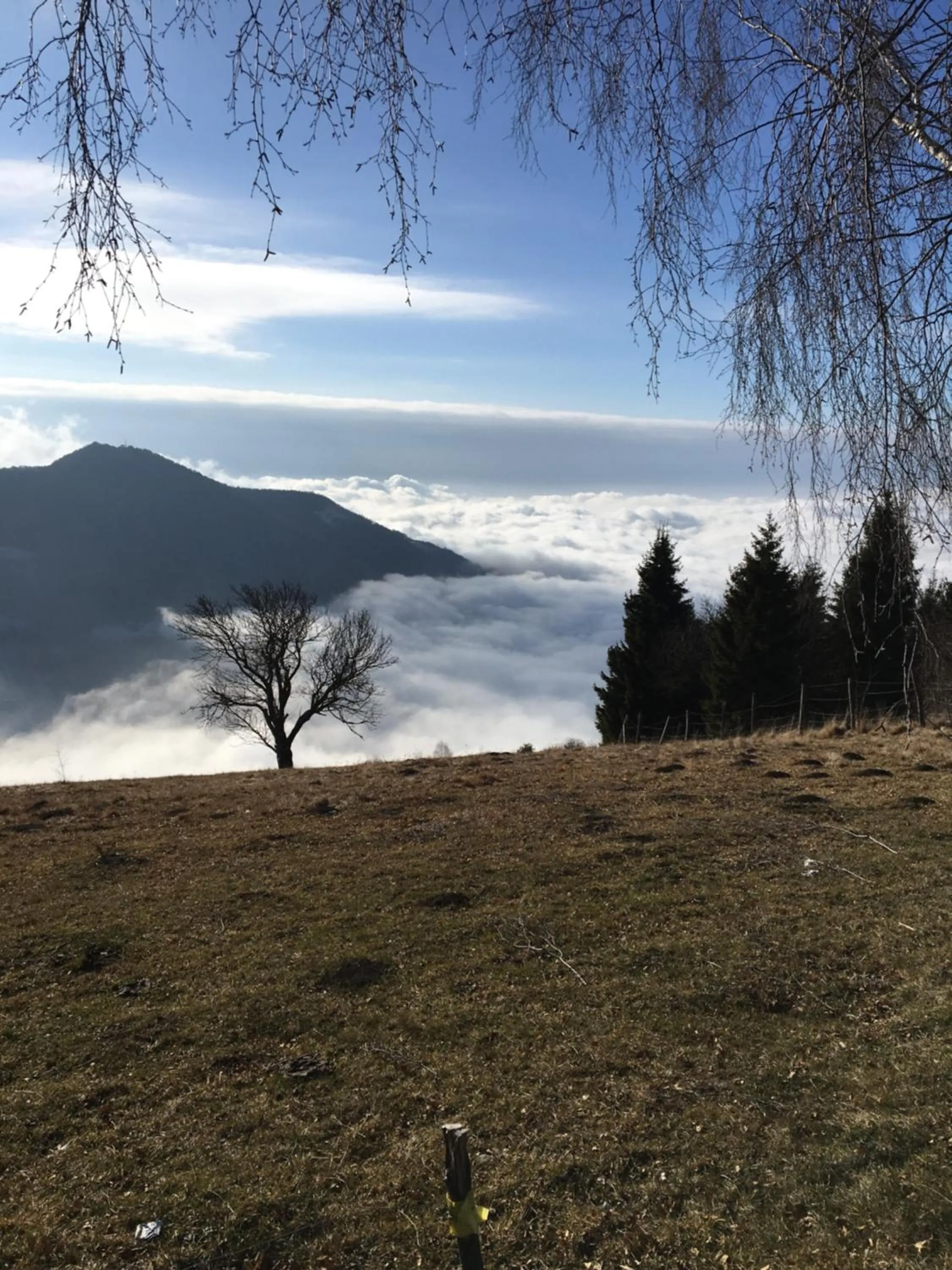 Natural landscape in Mirabilia