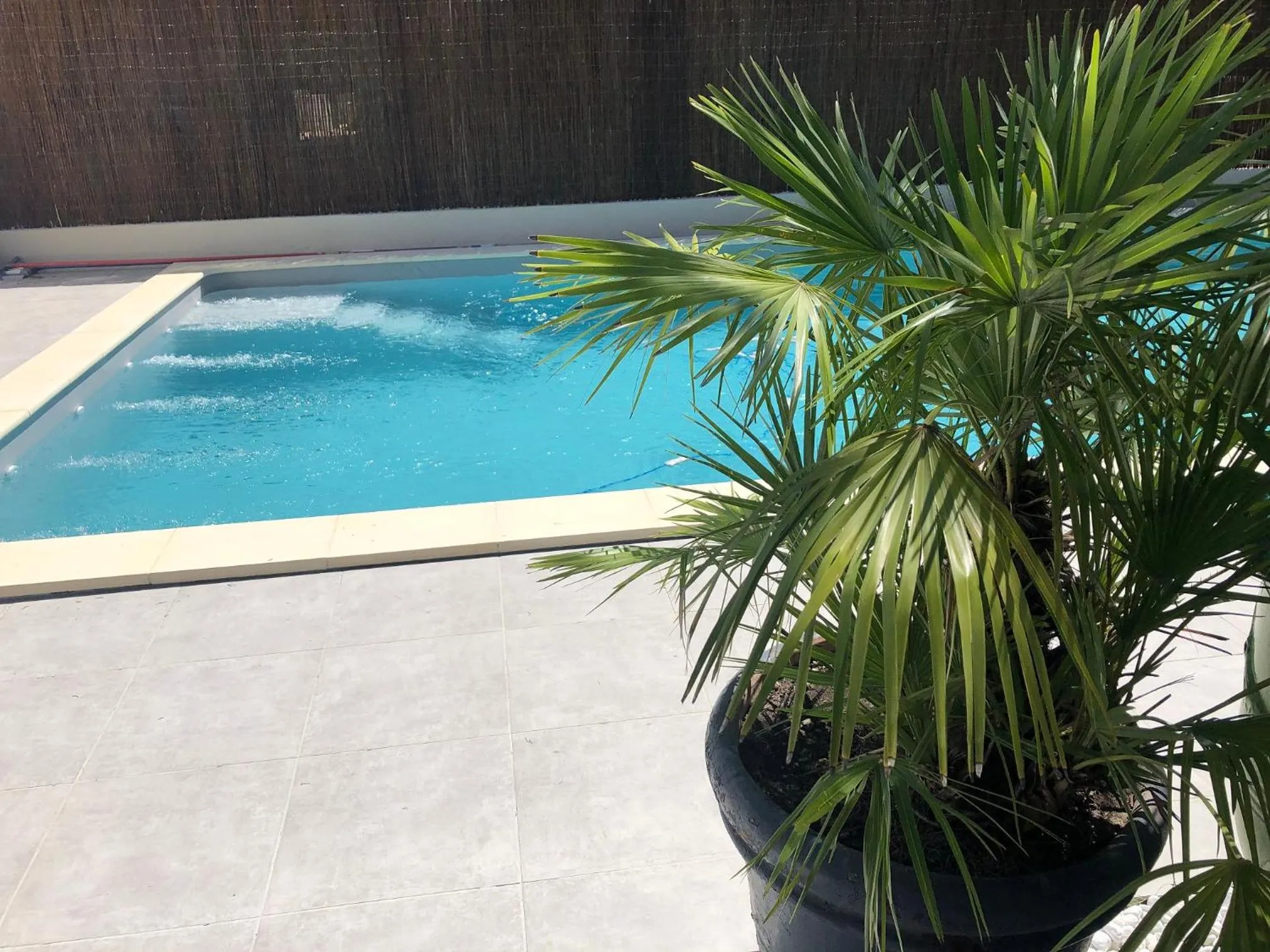 Activities in HOTEL ERMITAGE