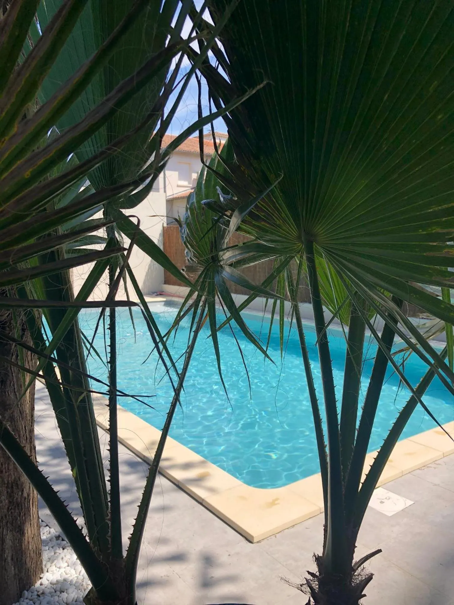 Activities in HOTEL ERMITAGE