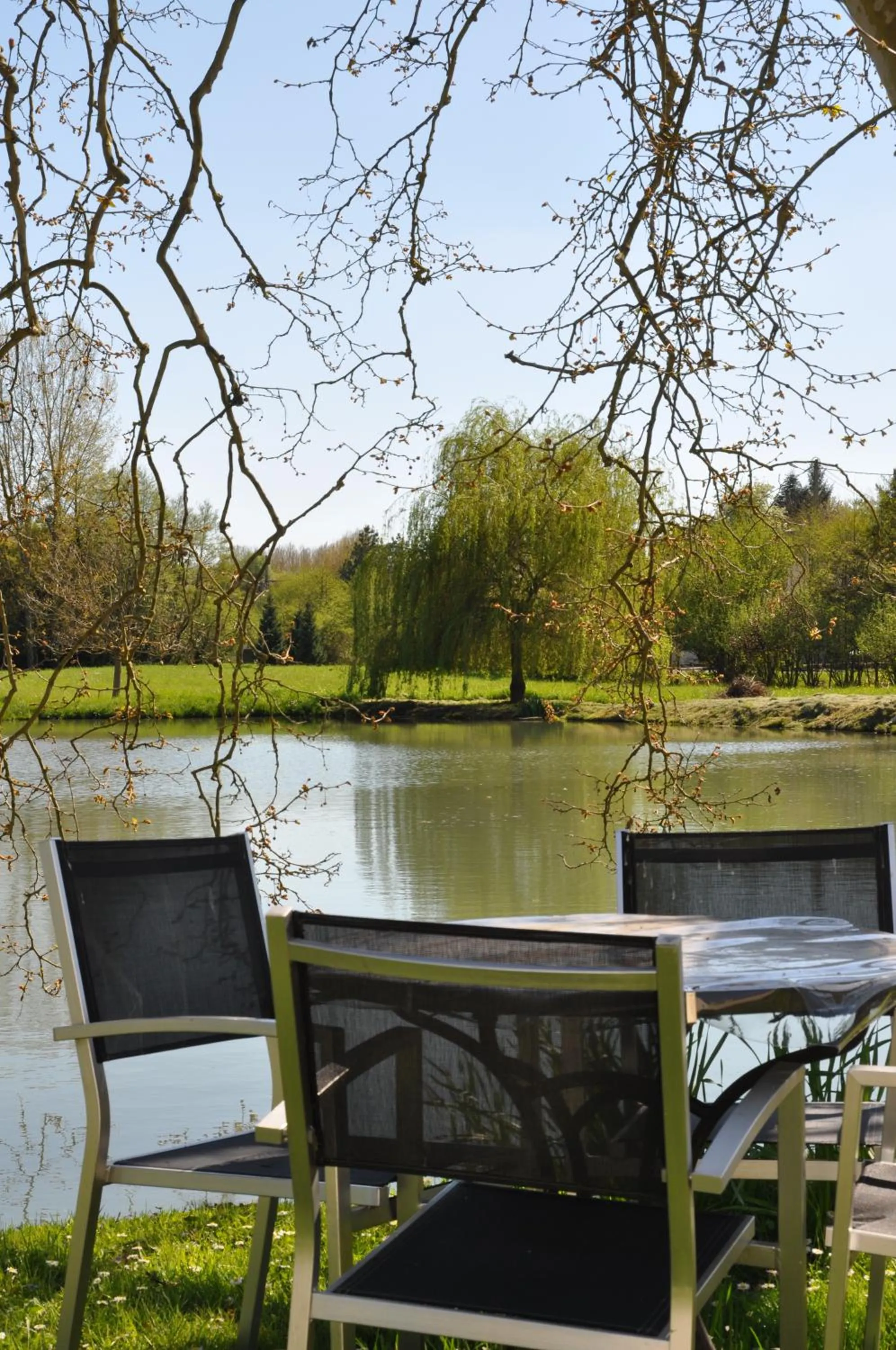 Garden in Moulin du Fief Gentil
