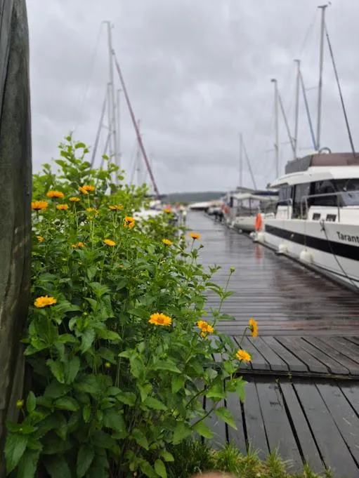 Pensjonat Rybaczówka - noclegi, restauracja, port