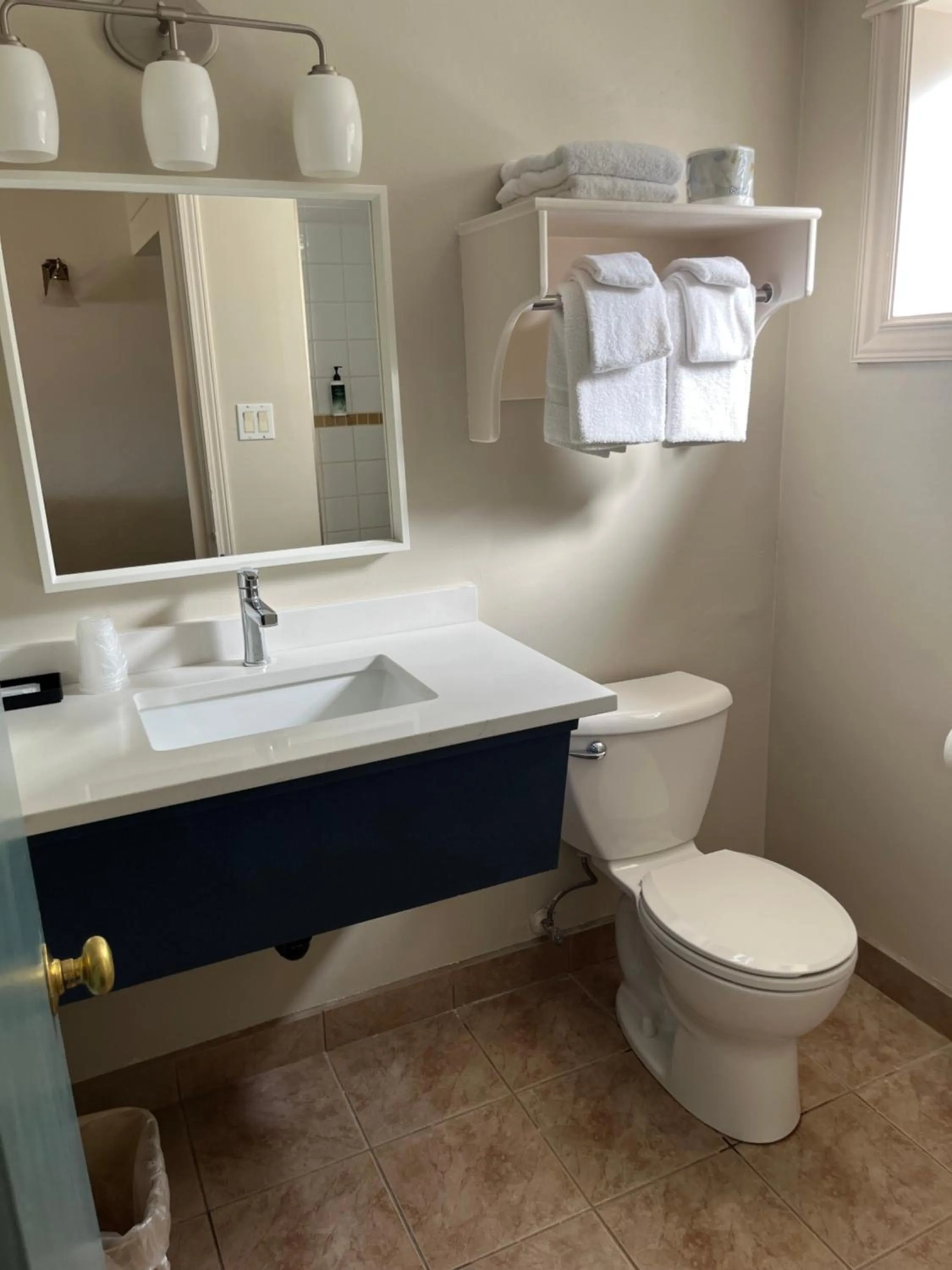 Toilet in Revelstoke Lodge