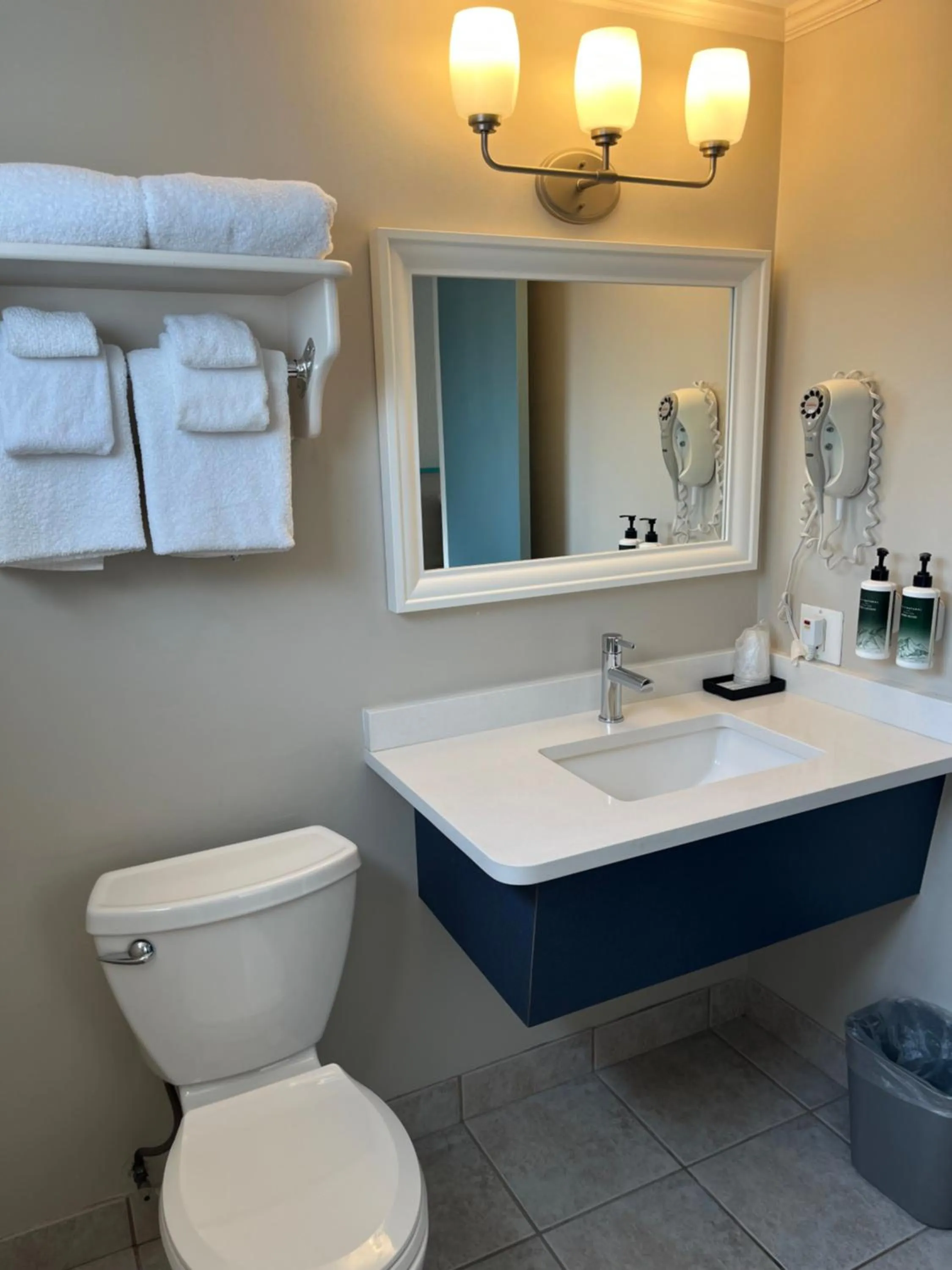 Toilet in Revelstoke Lodge