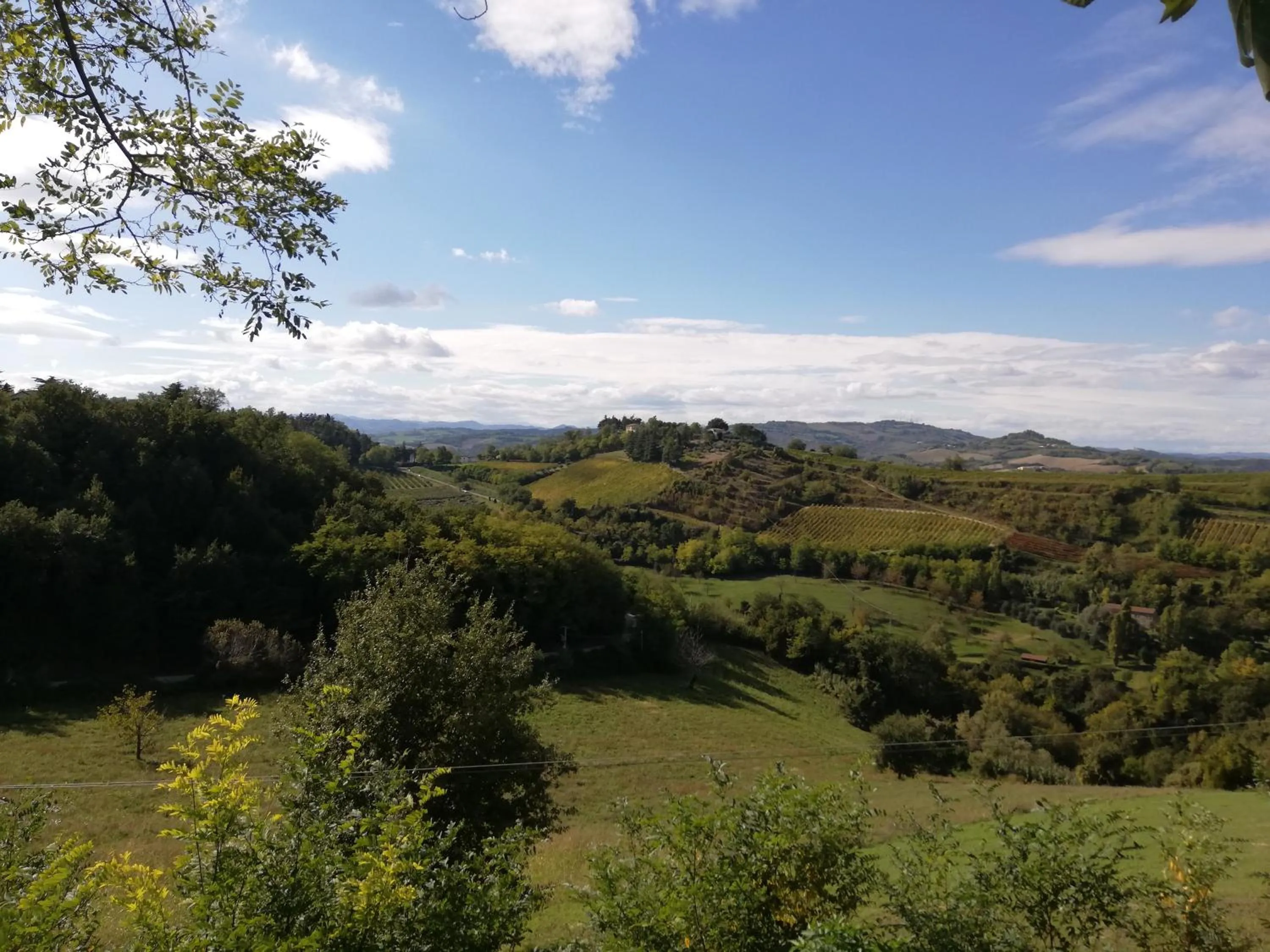 Natural landscape in Casa delle ginestre