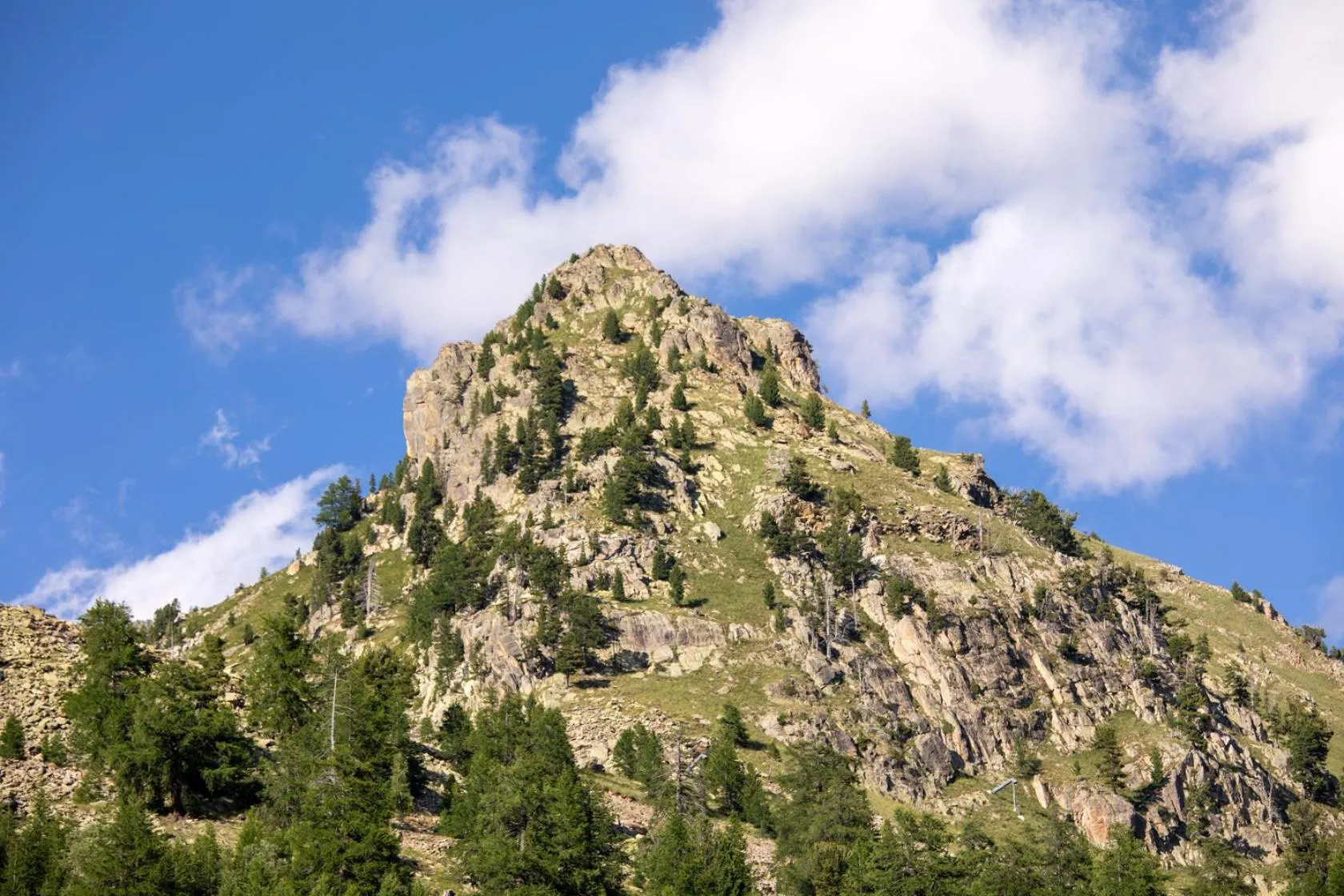 Natural landscape in SOWELL RESIDENCES New Chastillon