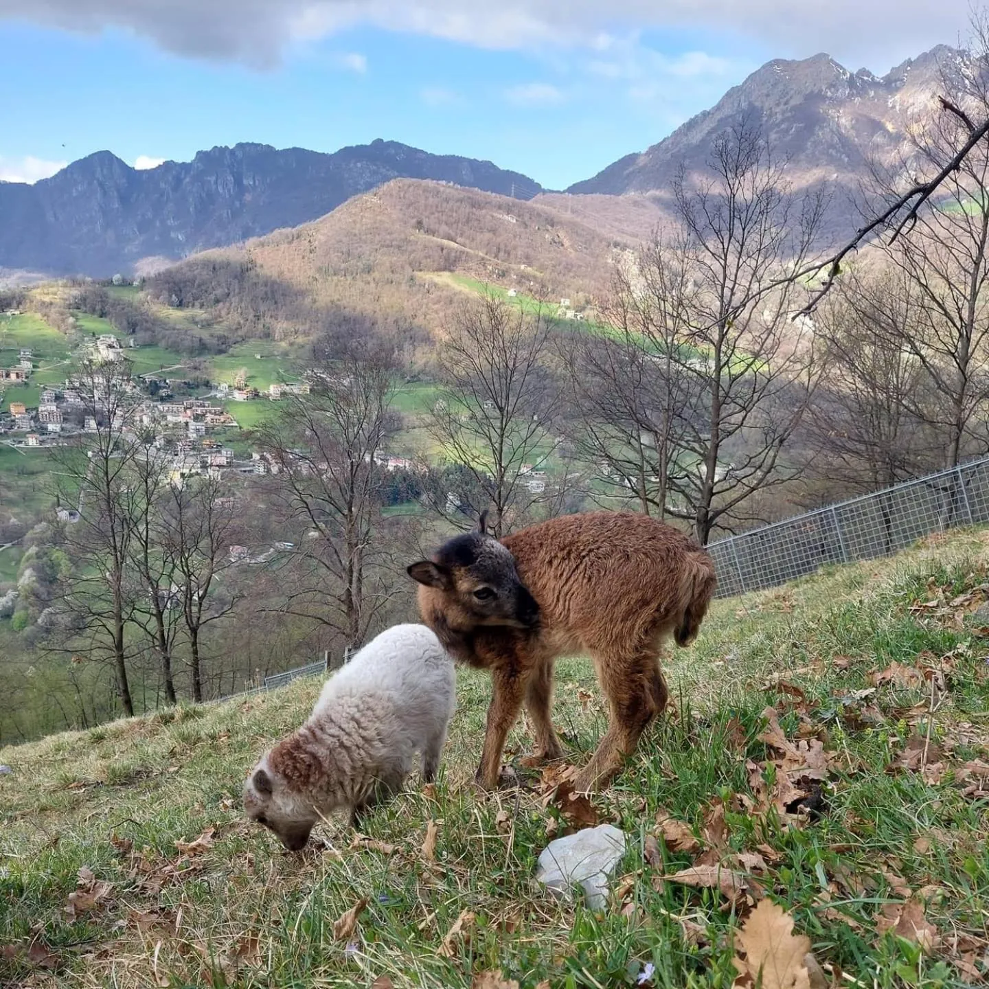 B&B Botton d'Oro Valle Imagna